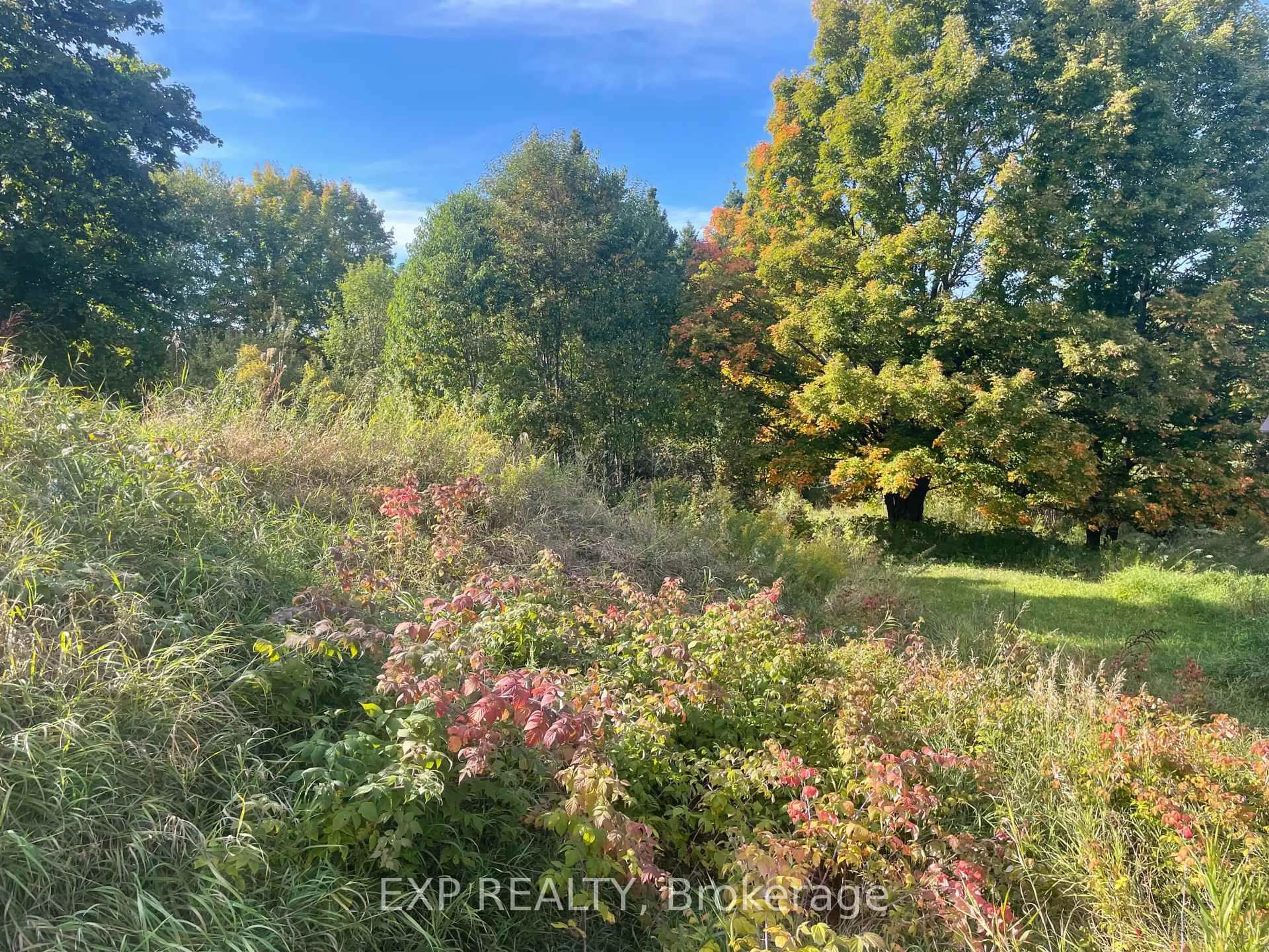 A pic from outside/outdoor area/front of a property/back of a property/a pic from drone, forest/trees view for 6188 Foymount Rd, Palmer Rapids Ontario K0J 2E0