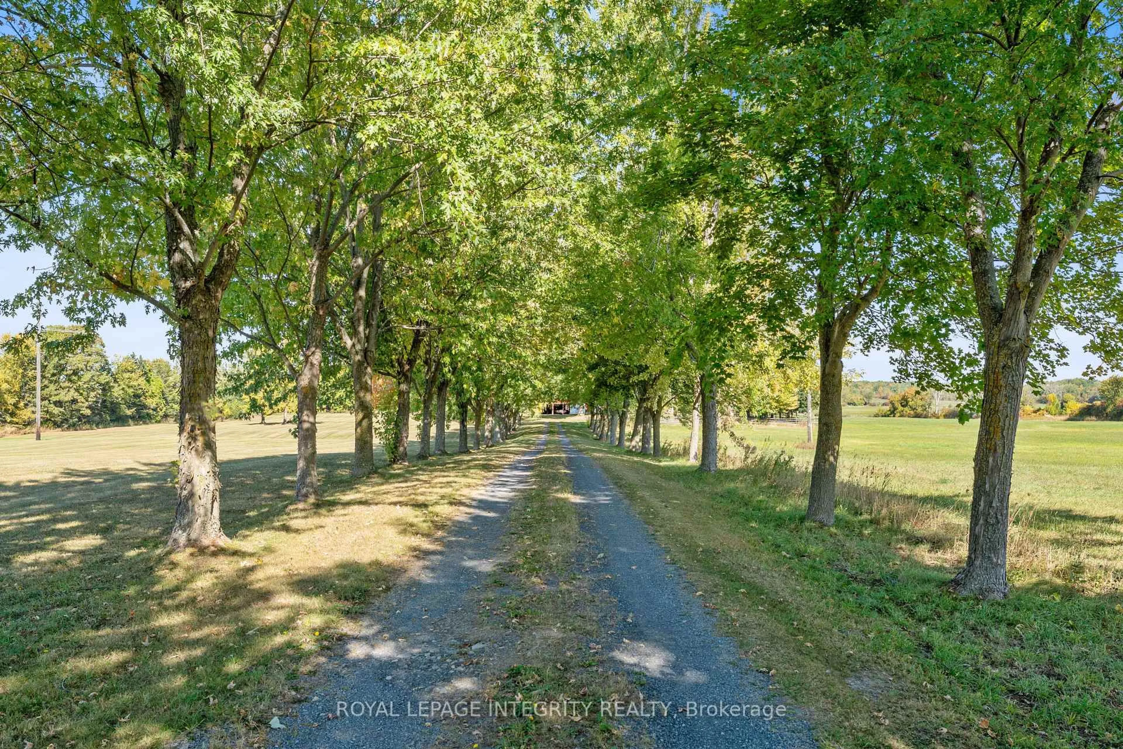 A pic from outside/outdoor area/front of a property/back of a property/a pic from drone, forest/trees view for 20079 County Road 43 Rd, North Glengarry Ontario K0C 1A0