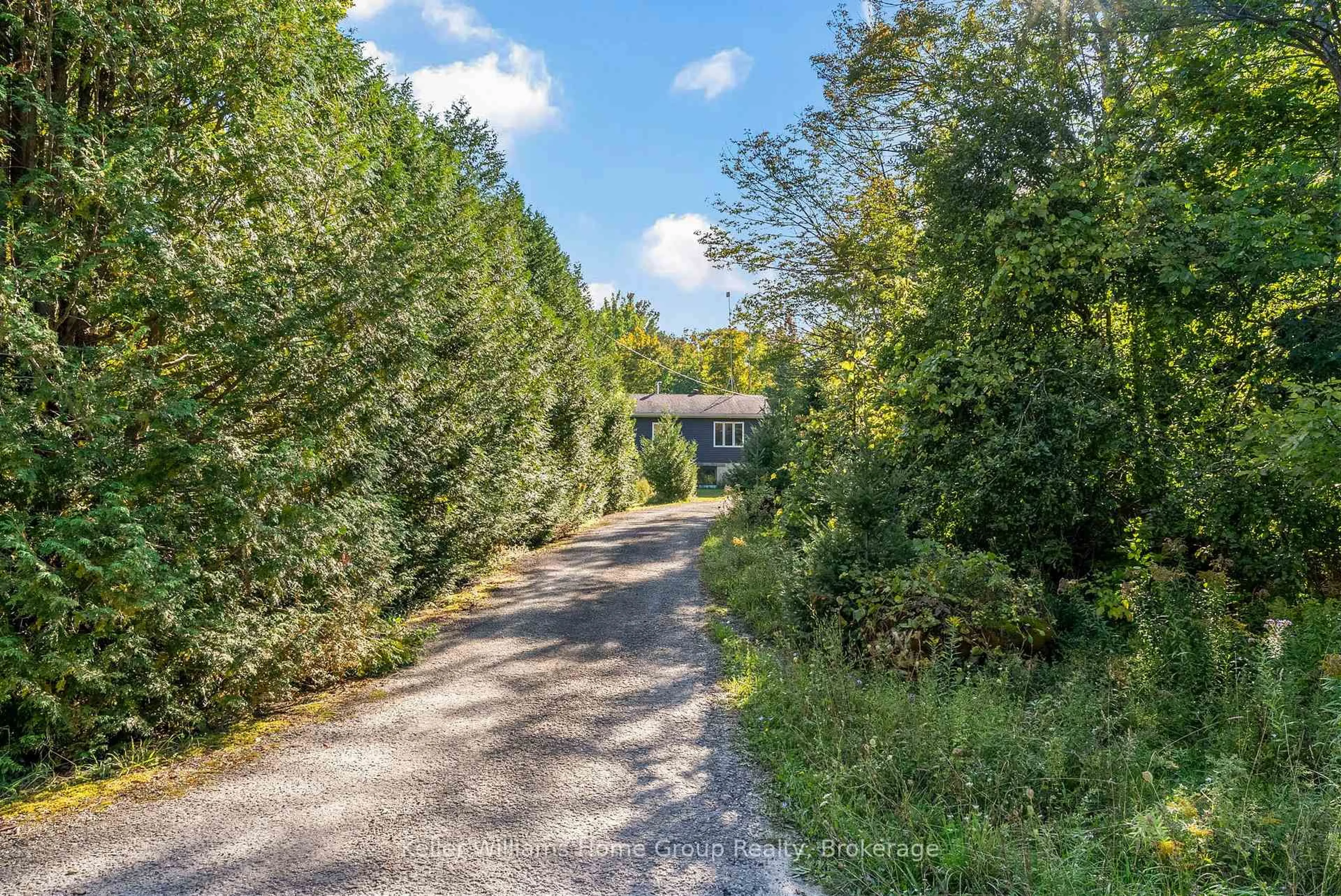 A pic from outside/outdoor area/front of a property/back of a property/a pic from drone, forest/trees view for 125 North Diagonal Rd, South Bruce Peninsula Ontario N0H 2T0