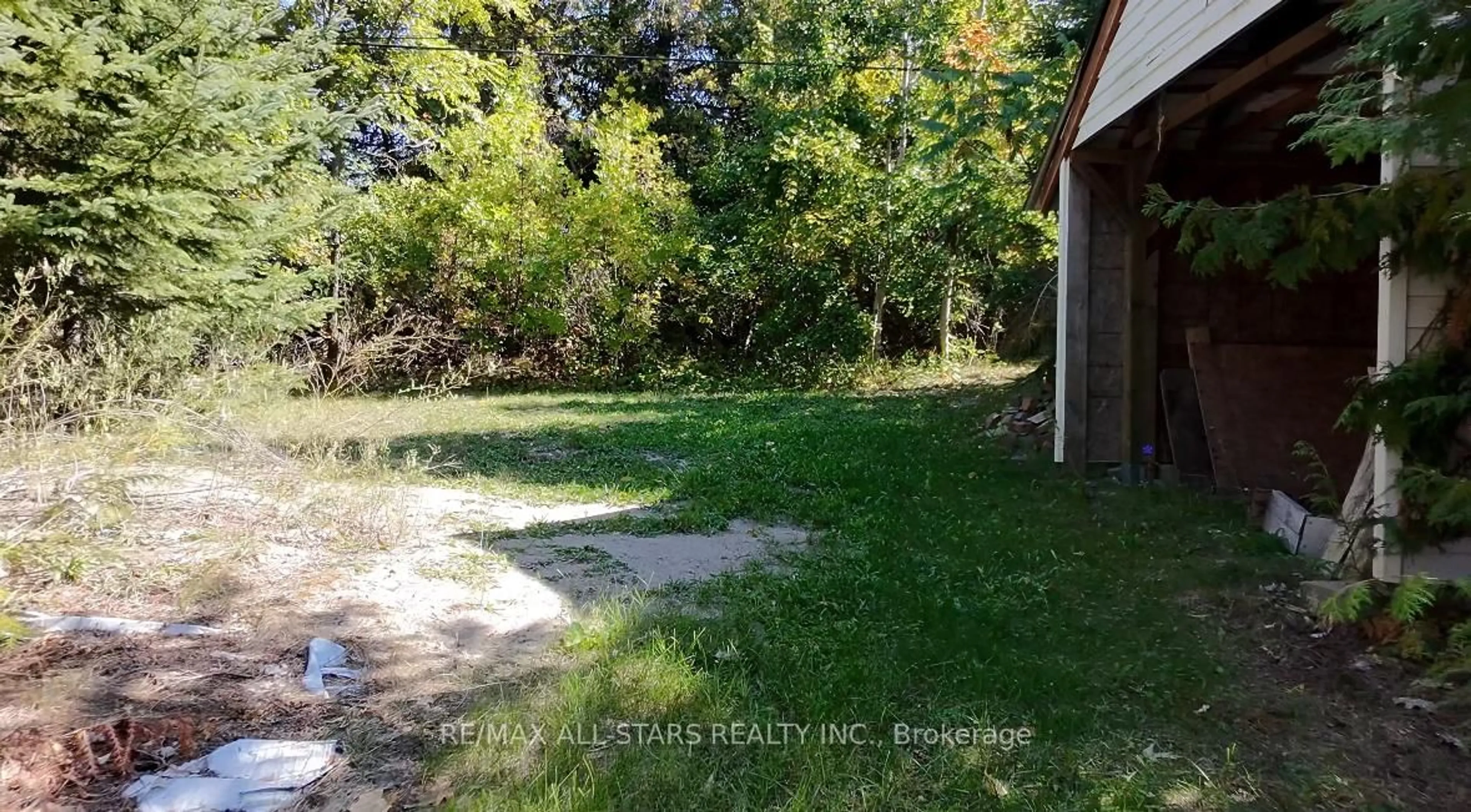 A pic from outside/outdoor area/front of a property/back of a property/a pic from drone, forest/trees view for 36 Cove Rd, Kawartha Lakes Ontario K0M 1N0