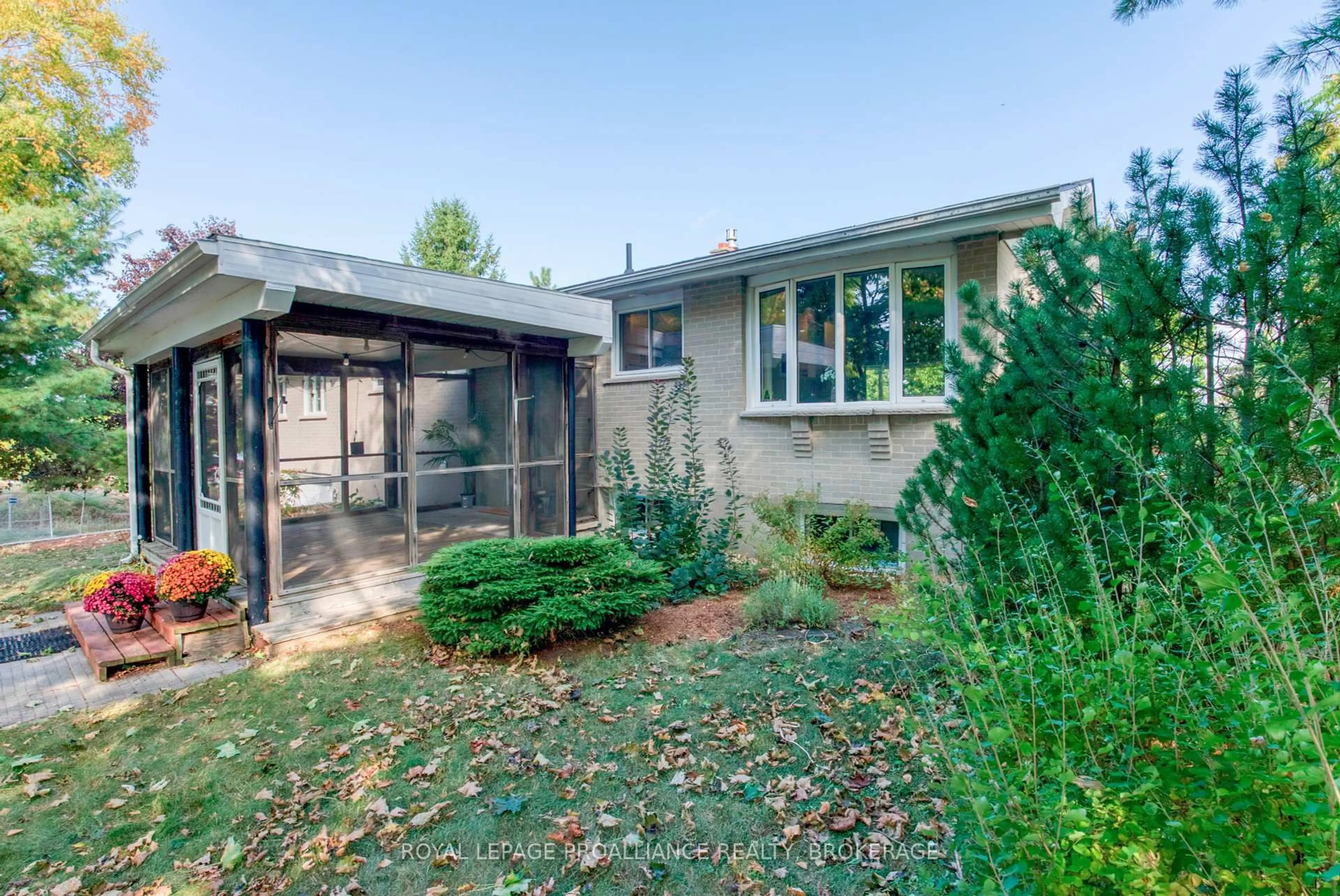 Patio, street for 2851B Rutledge Rd, Sydenham Ontario K0H 2T0