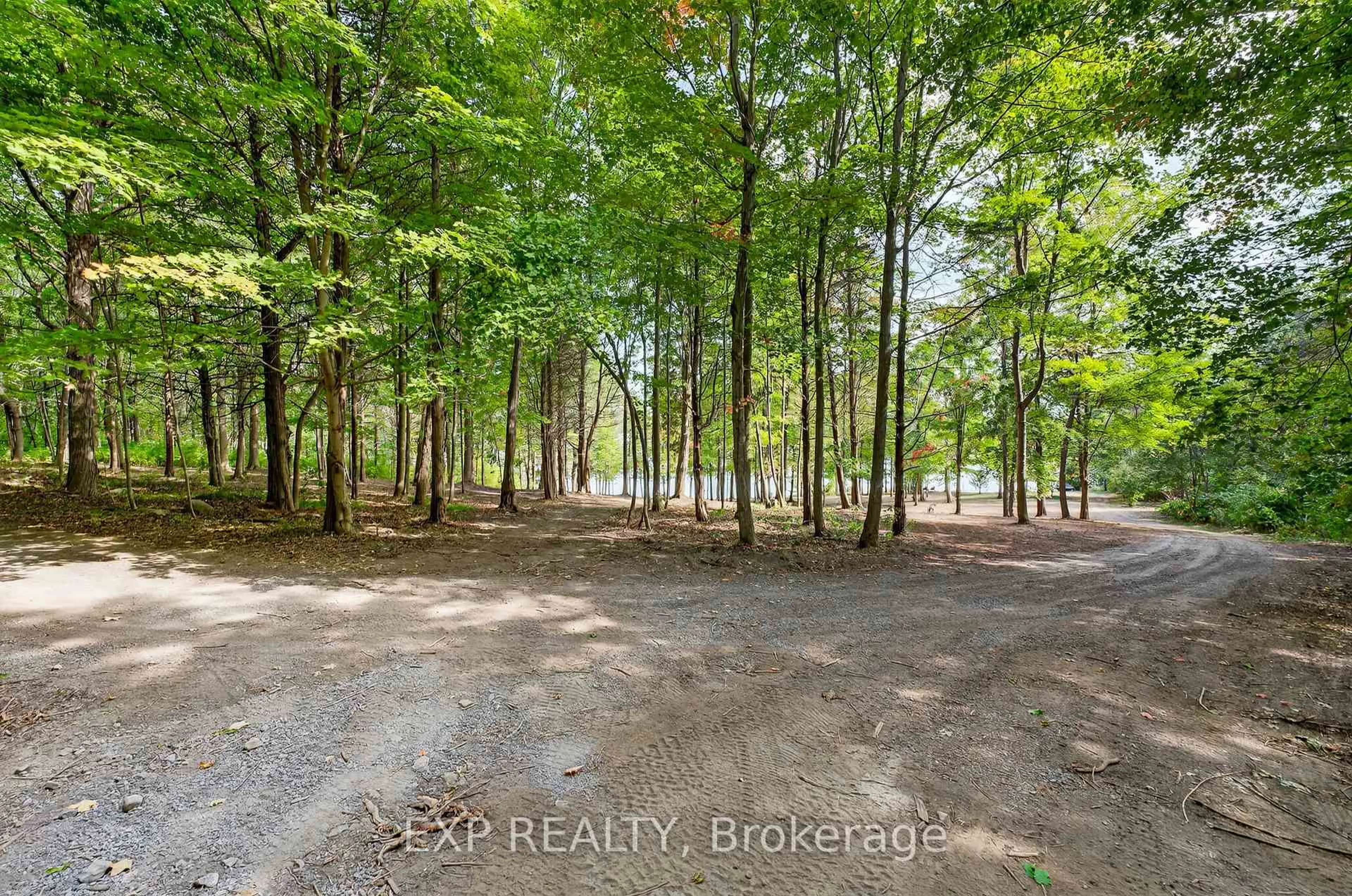 A pic from outside/outdoor area/front of a property/back of a property/a pic from drone, forest/trees view for 130 County 35 Rd, Prince Edward County Ontario K0K 2T0