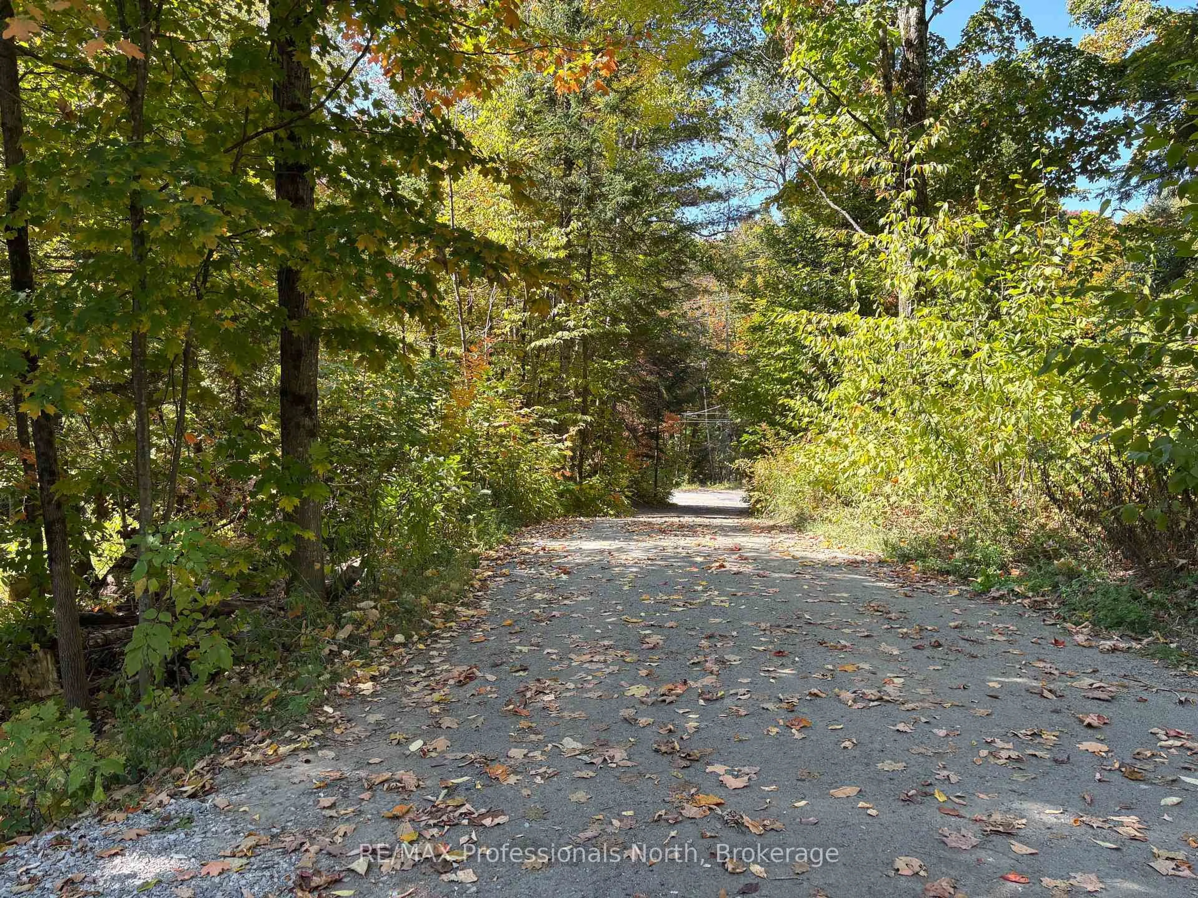 Unknown for 116 Woodland Dr, Huntsville Ontario P1H 1A7