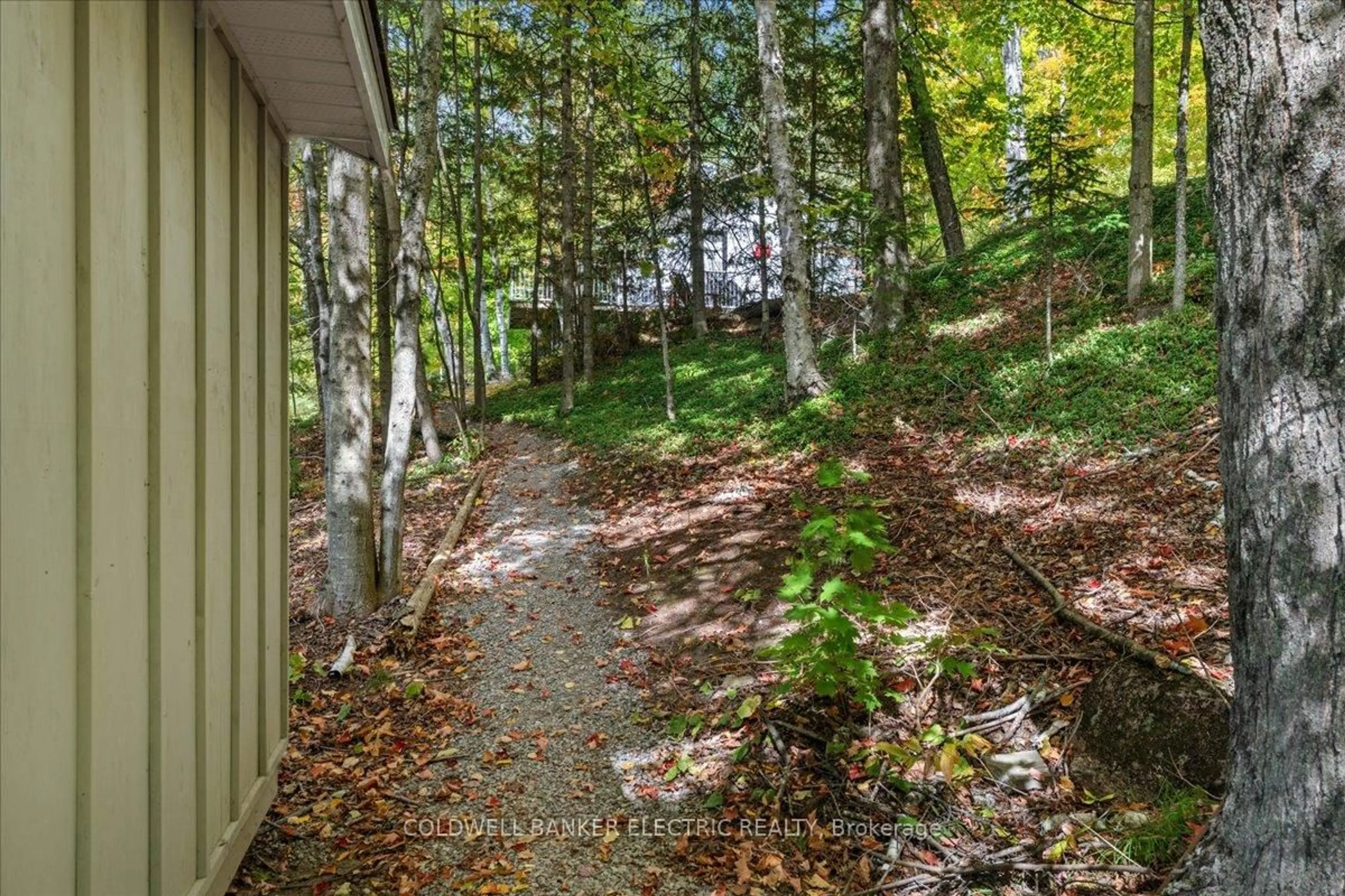 Patio, forest/trees view for 29 Fire Route 296, Trent Lakes Ontario K0L 1J0
