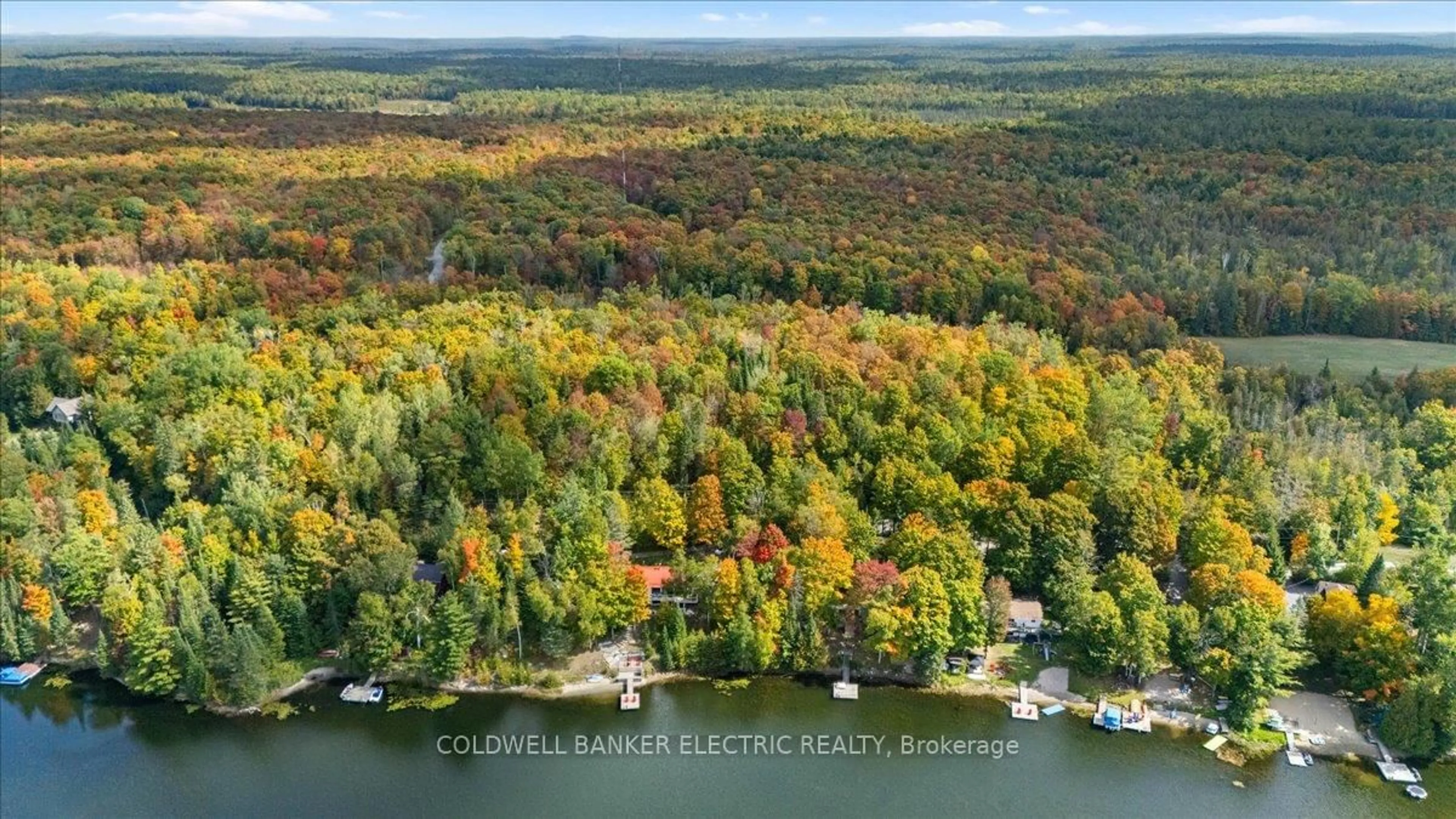 A pic from outside/outdoor area/front of a property/back of a property/a pic from drone, water/lake/river/ocean view for 37 Fire Route 296, Trent Lakes Ontario K0L 1J0