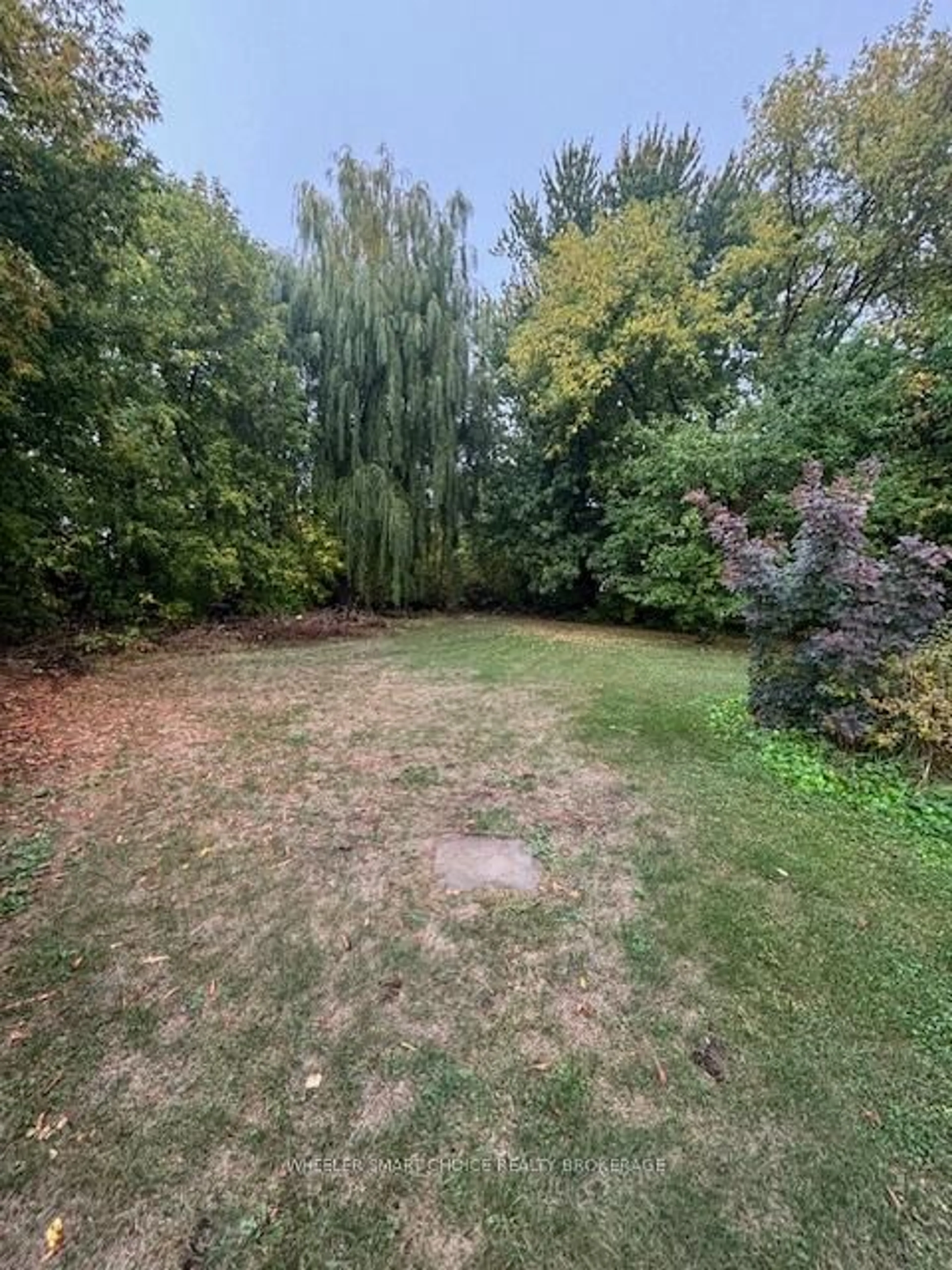 A pic from outside/outdoor area/front of a property/back of a property/a pic from drone, forest/trees view for 6 Ash St, South Stormont Ontario K0C 1Y0