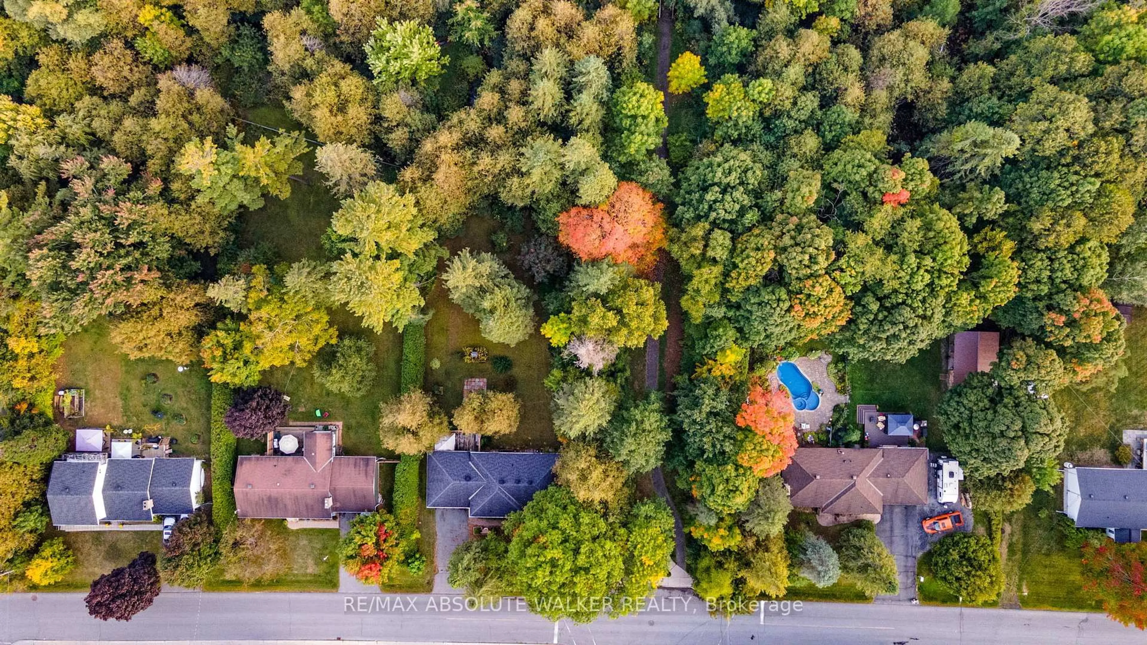A pic from outside/outdoor area/front of a property/back of a property/a pic from drone, forest/trees view for 16 Beverly St, Stittsville Ontario K2S 0S4