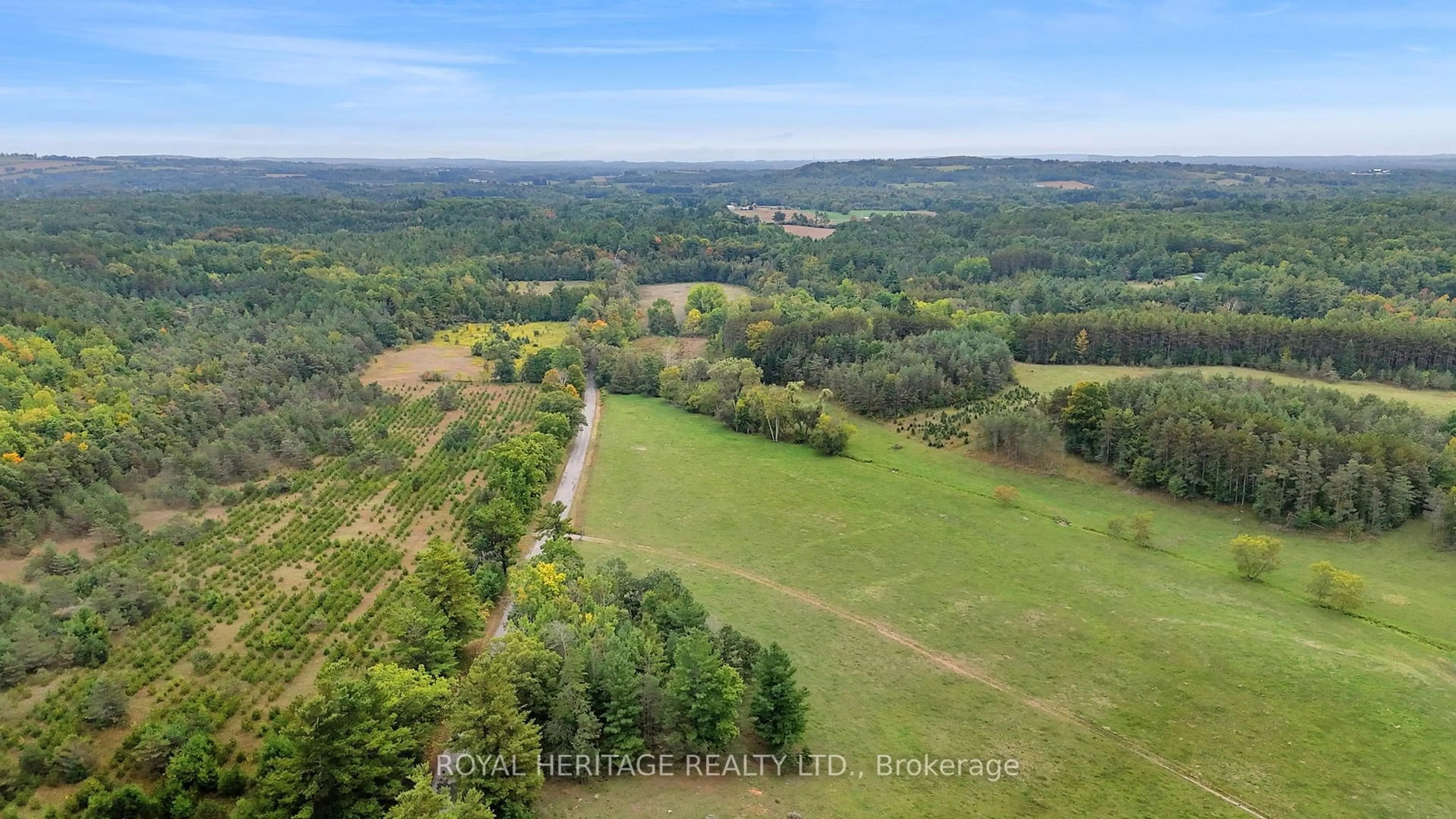 A pic from outside/outdoor area/front of a property/back of a property/a pic from drone, forest/trees view for 9672 Walker Rd, Port Hope Ontario L0A 1B0