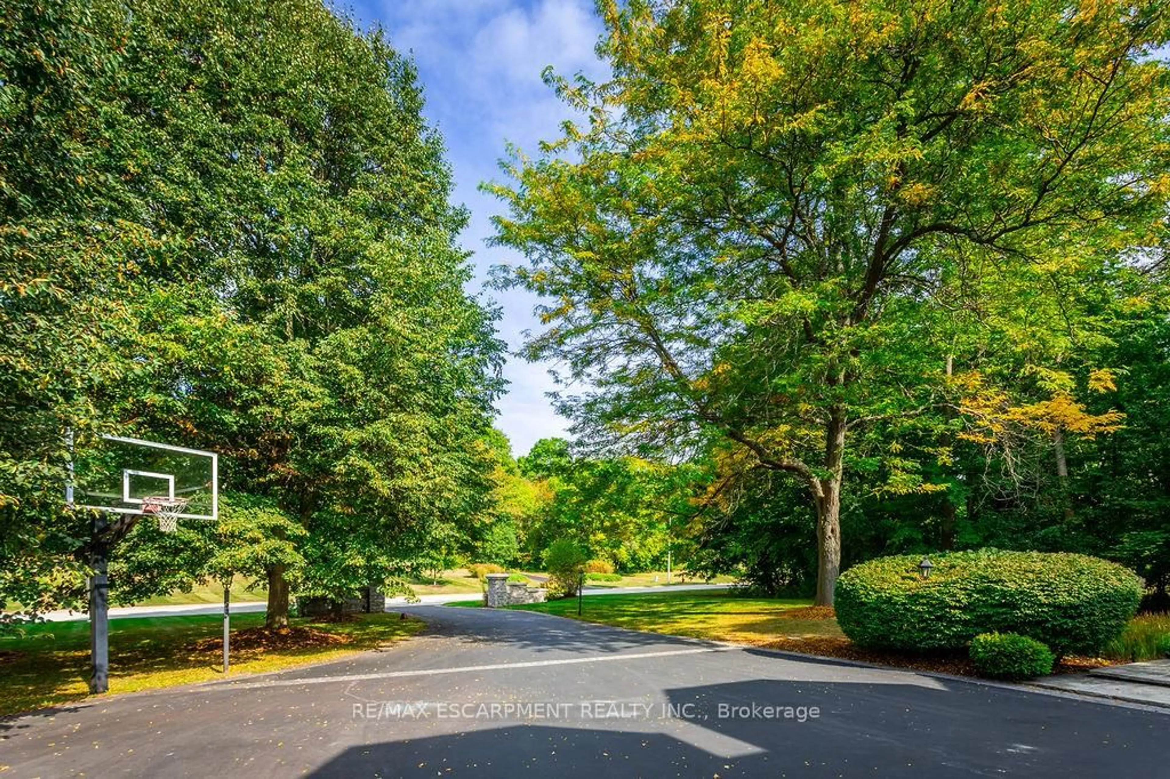 A pic from outside/outdoor area/front of a property/back of a property/a pic from drone, forest/trees view for 12 Blackberry Pl, Hamilton Ontario L0R 1H2