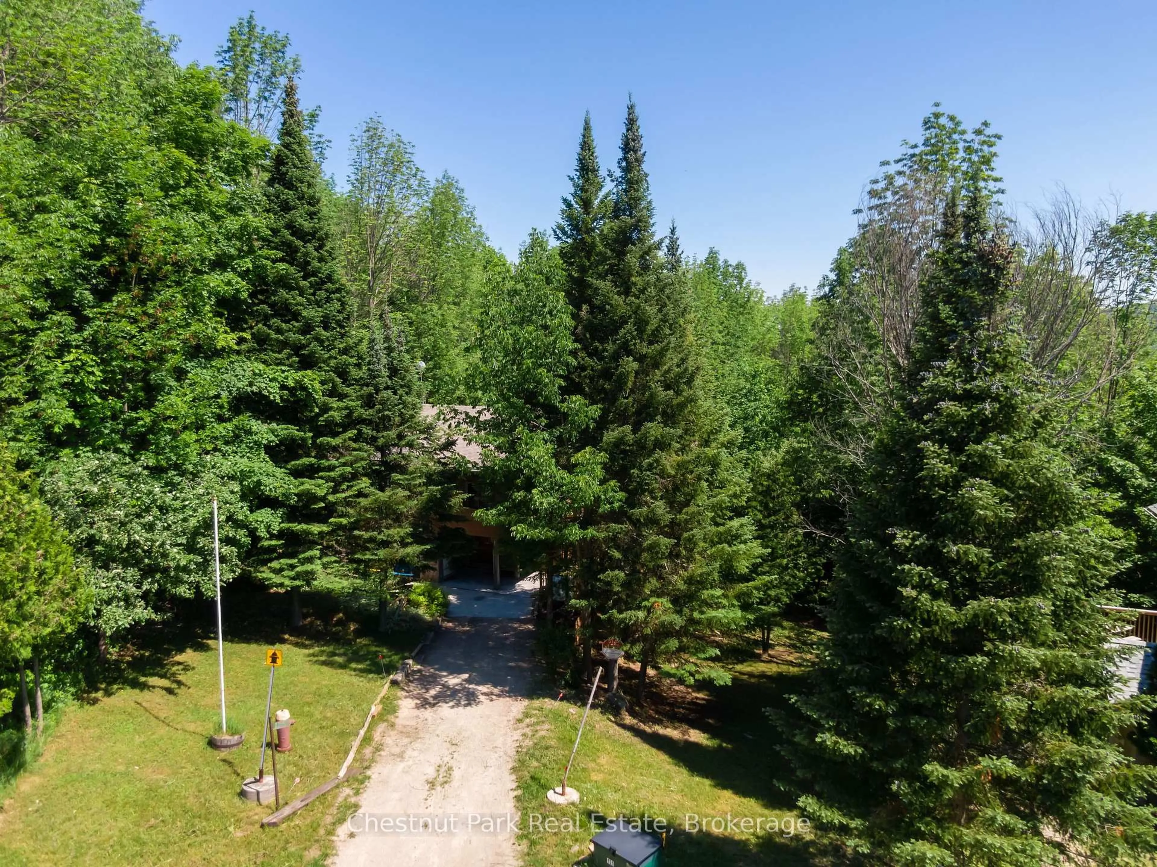 A pic from outside/outdoor area/front of a property/back of a property/a pic from drone, forest/trees view for 125 Kimberley Crt, Grey Highlands Ontario N0C 1G0