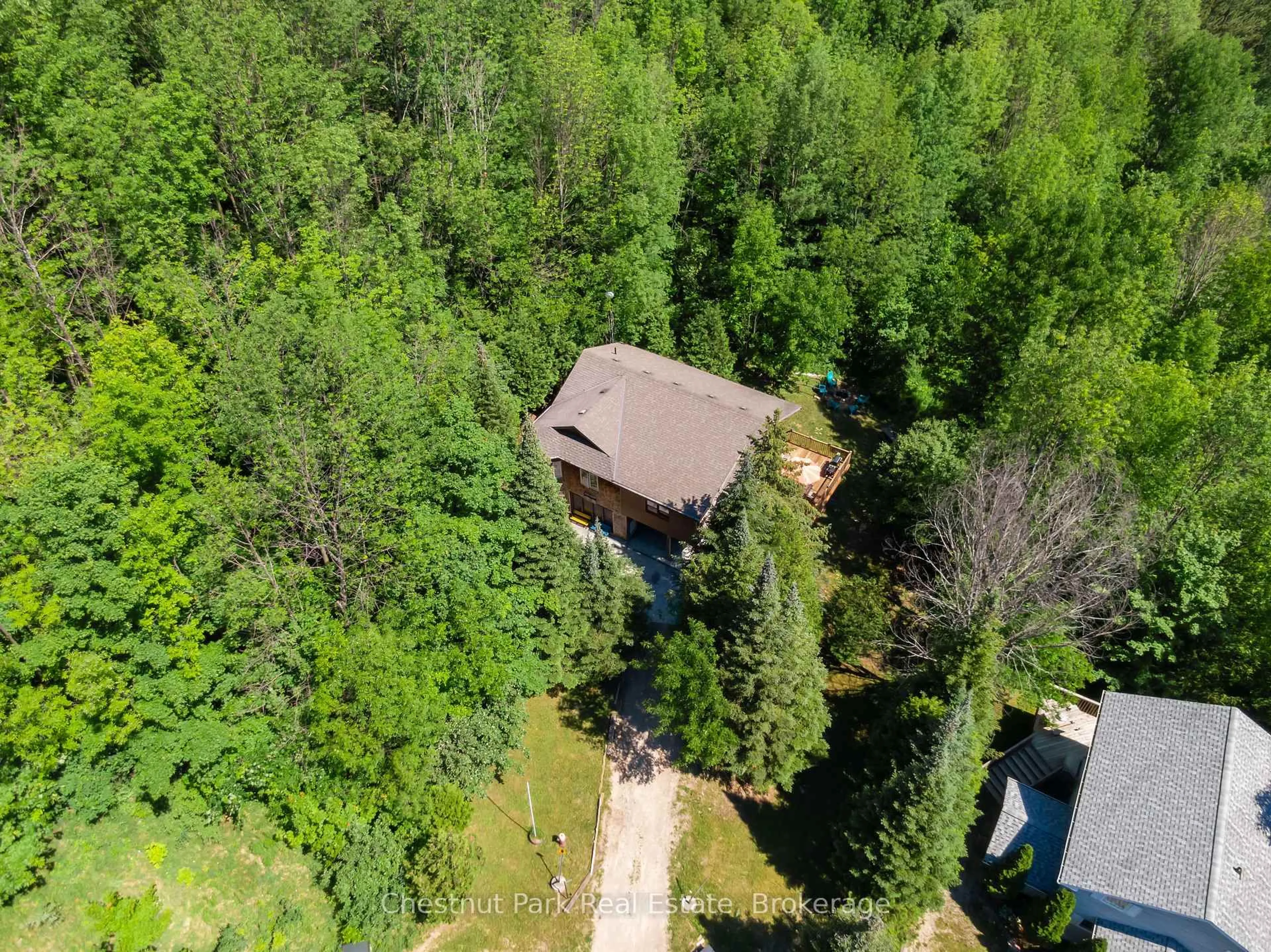 A pic from outside/outdoor area/front of a property/back of a property/a pic from drone, forest/trees view for 125 Kimberley Crt, Grey Highlands Ontario N0C 1G0