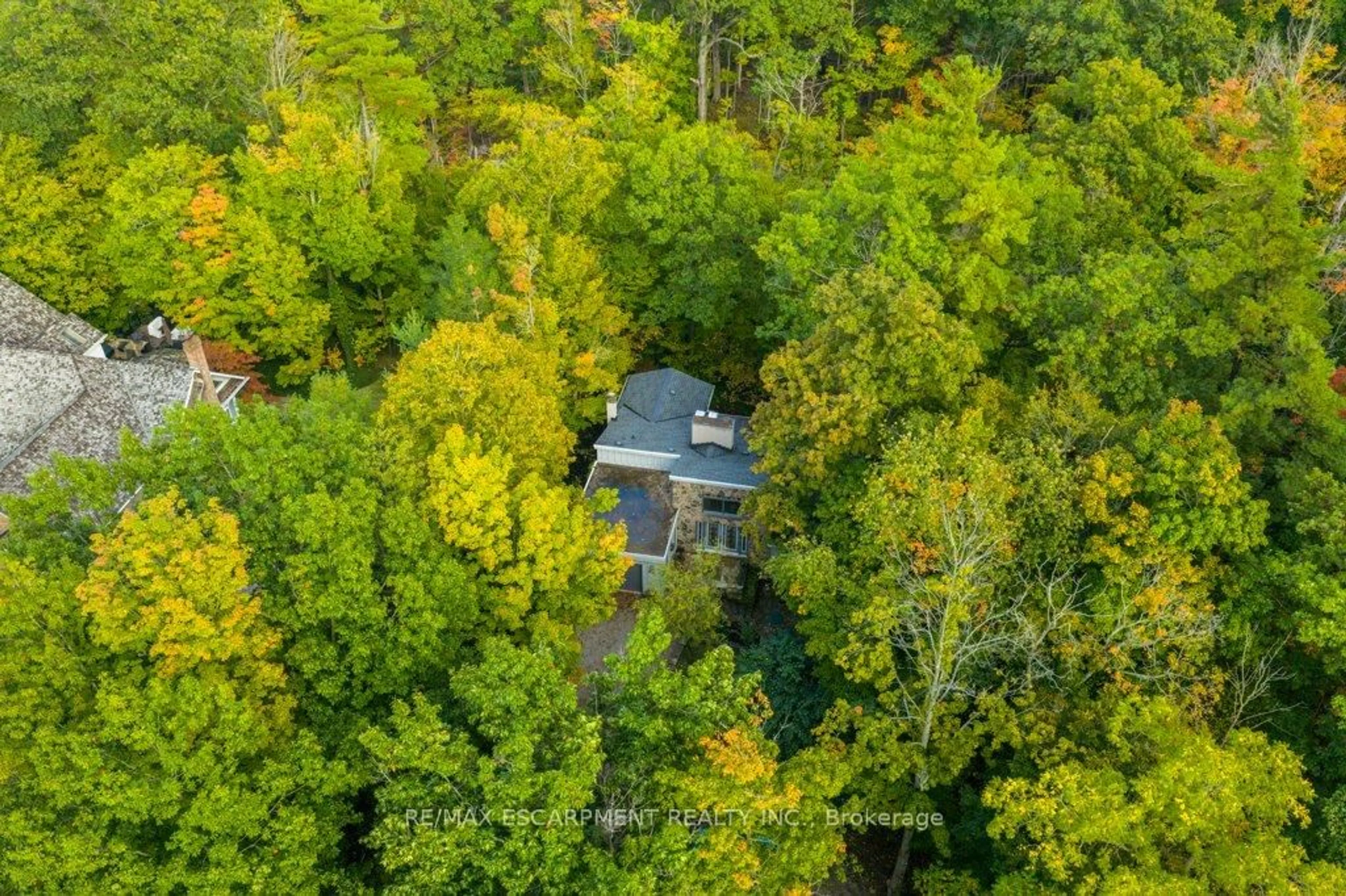 A pic from outside/outdoor area/front of a property/back of a property/a pic from drone, forest/trees view for 59 Park Rd, Grimsby Ontario L3M 4E7