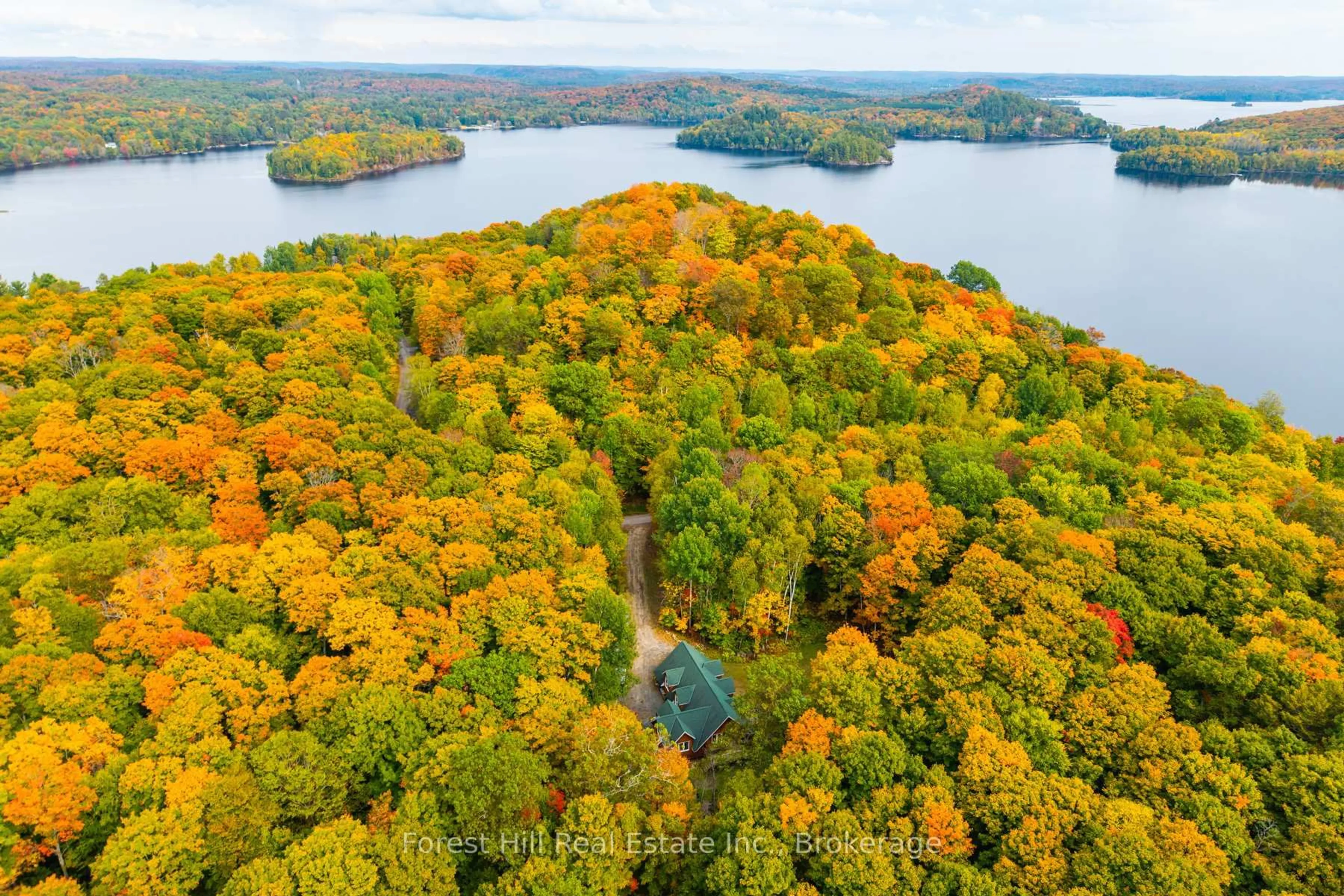 A pic from outside/outdoor area/front of a property/back of a property/a pic from drone, forest/trees view for 248 Vernon Shores Ave, Huntsville Ontario P1H 2J2