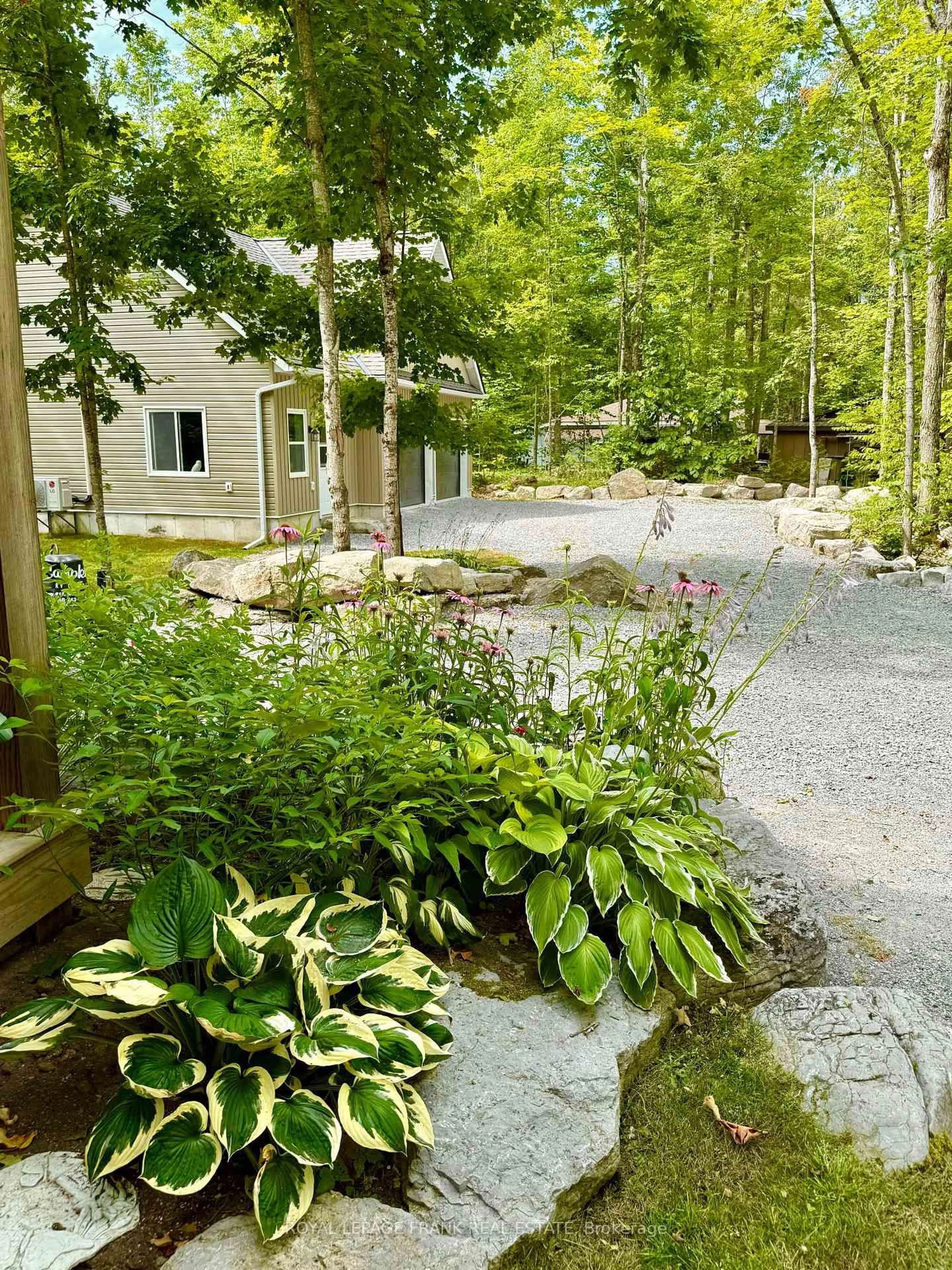 Patio, forest/trees view for 24 Ted's Lane, Trent Lakes Ontario K0L 1J0