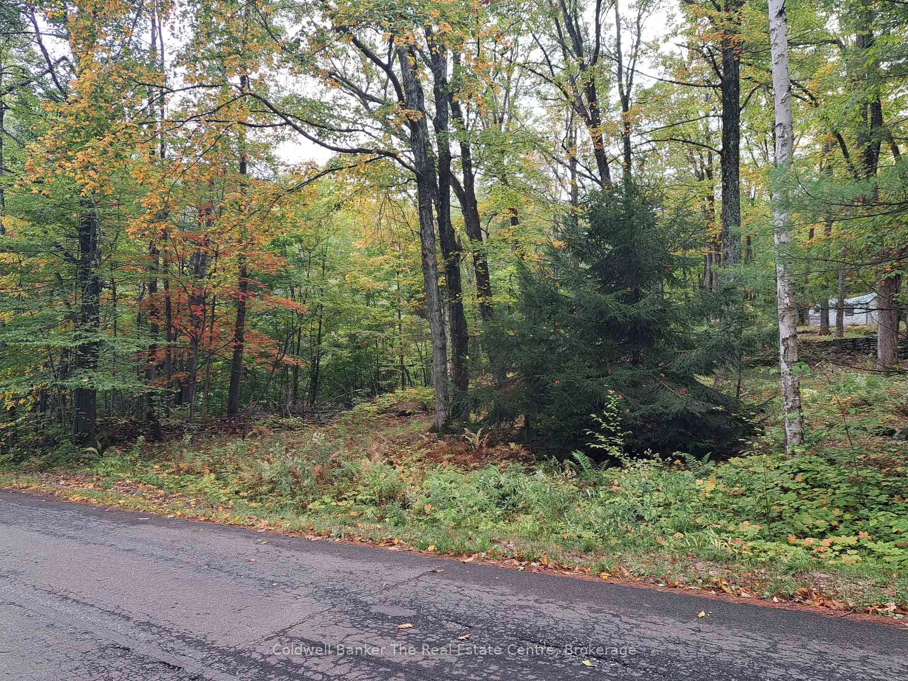 Blurry image for 1094 Marina Rd, Muskoka Lakes Ontario P1P 1R2