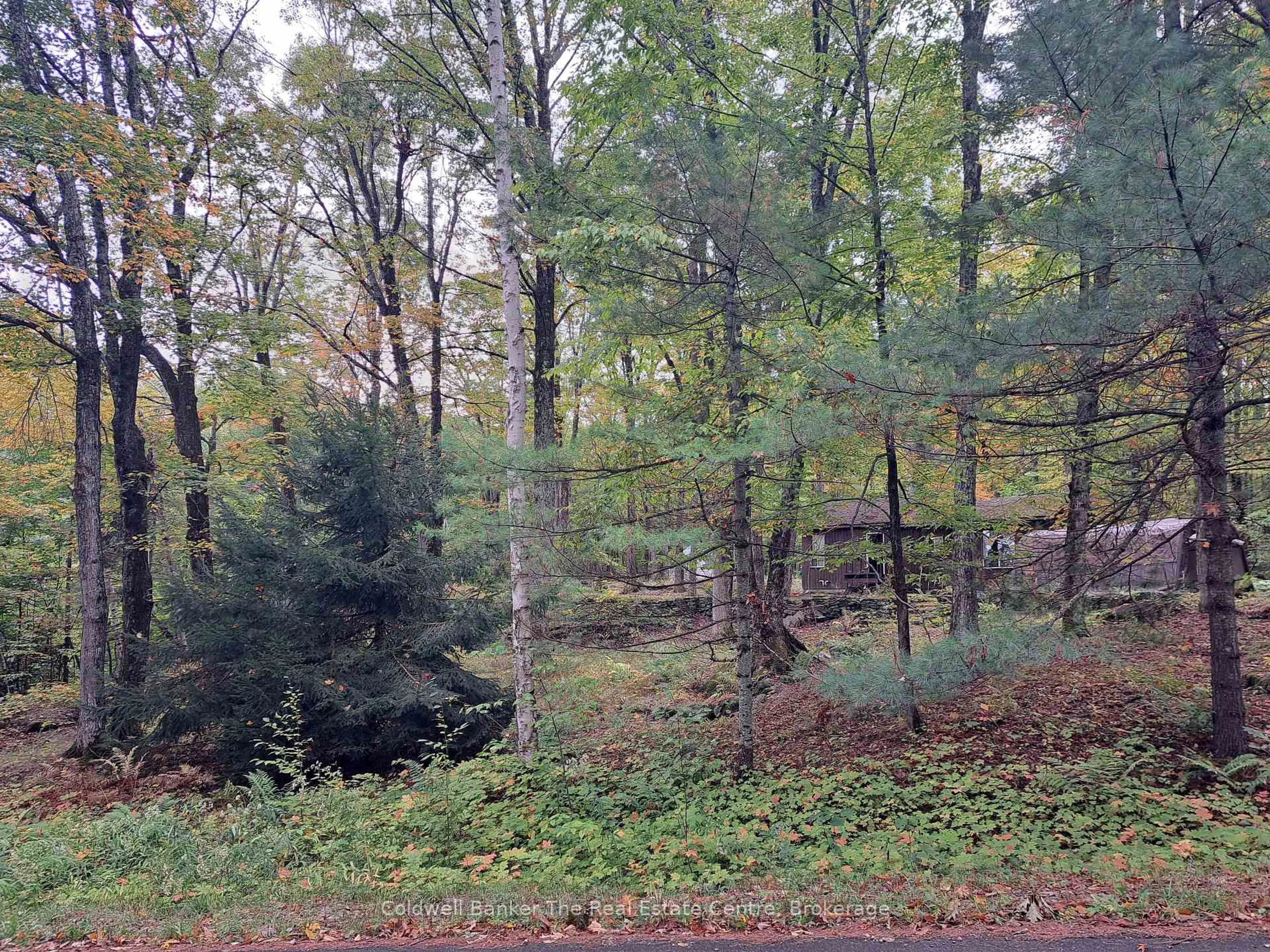 A pic from outside/outdoor area/front of a property/back of a property/a pic from drone, forest/trees view for 1094 Marina Rd, Muskoka Lakes Ontario P1P 1R2