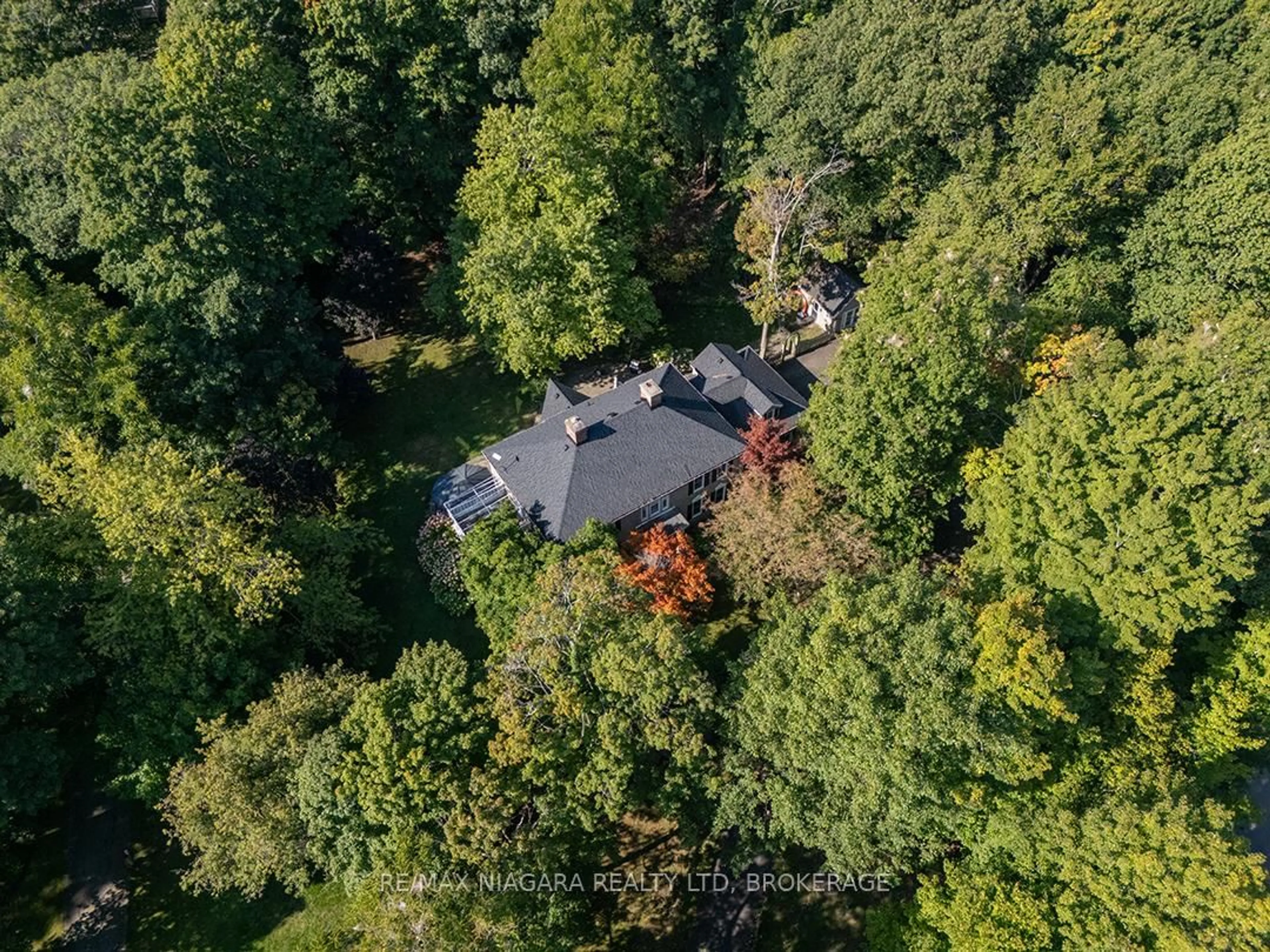 A pic from outside/outdoor area/front of a property/back of a property/a pic from drone, forest/trees view for 10187 Lakeshore Rd, Wainfleet Ontario L3K 5V4
