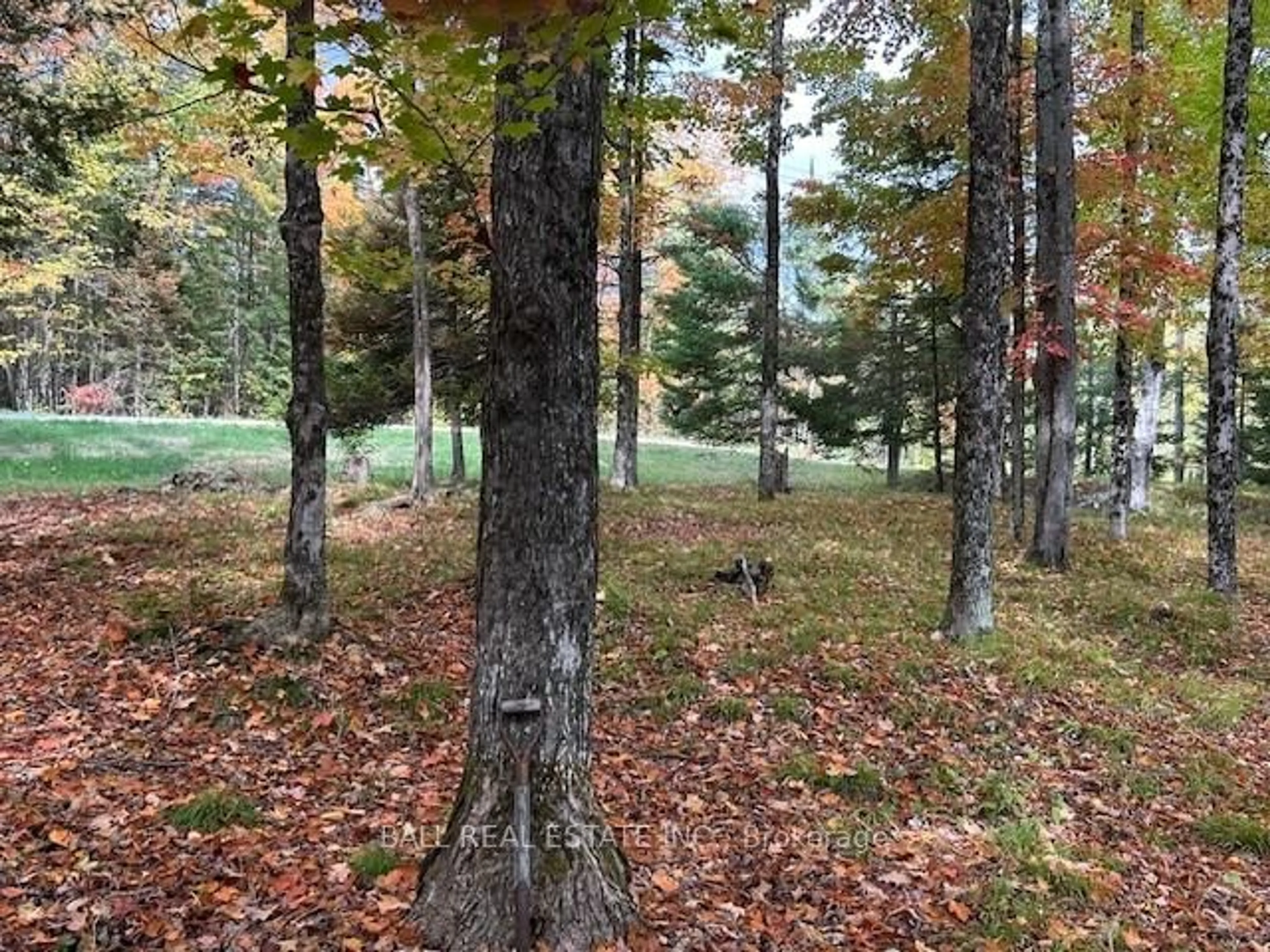 Unknown for 16 Kennedy Crt, Trent Lakes Ontario K0M 1A0