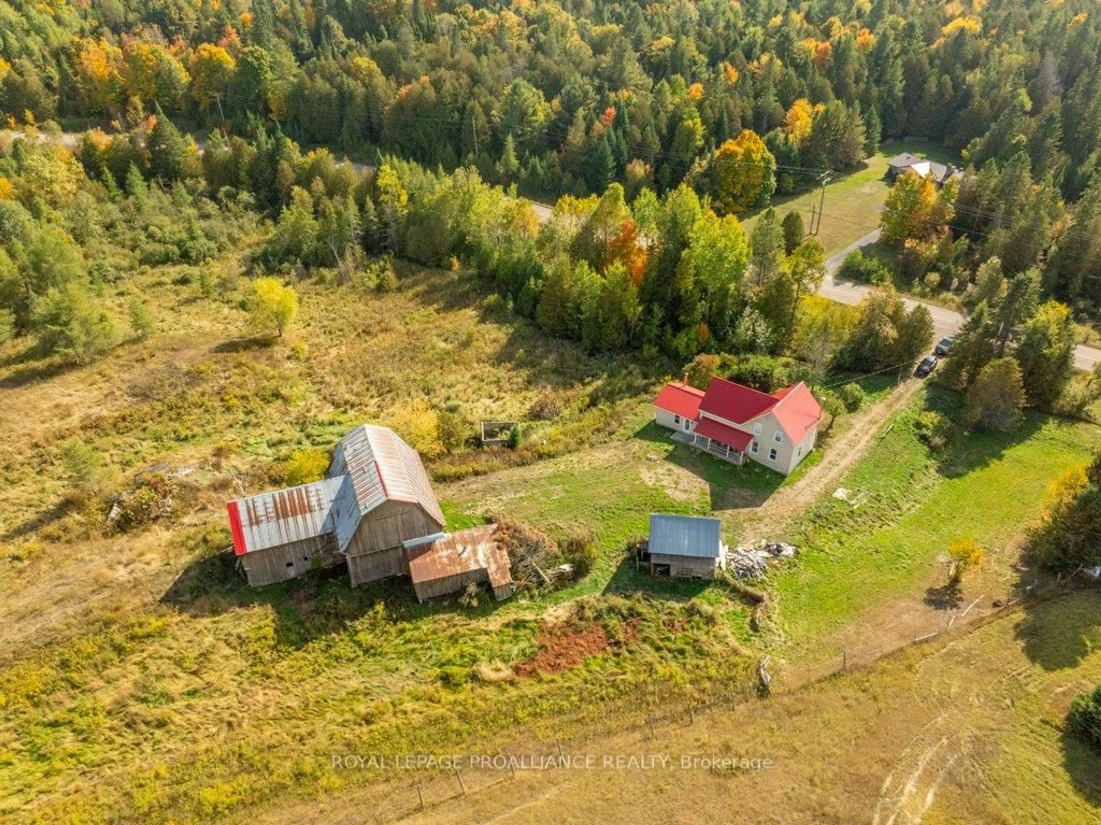 A pic from outside/outdoor area/front of a property/back of a property/a pic from drone, forest/trees view for 5948 Ardoch Rd, Ardoch Ontario K0H 1C0