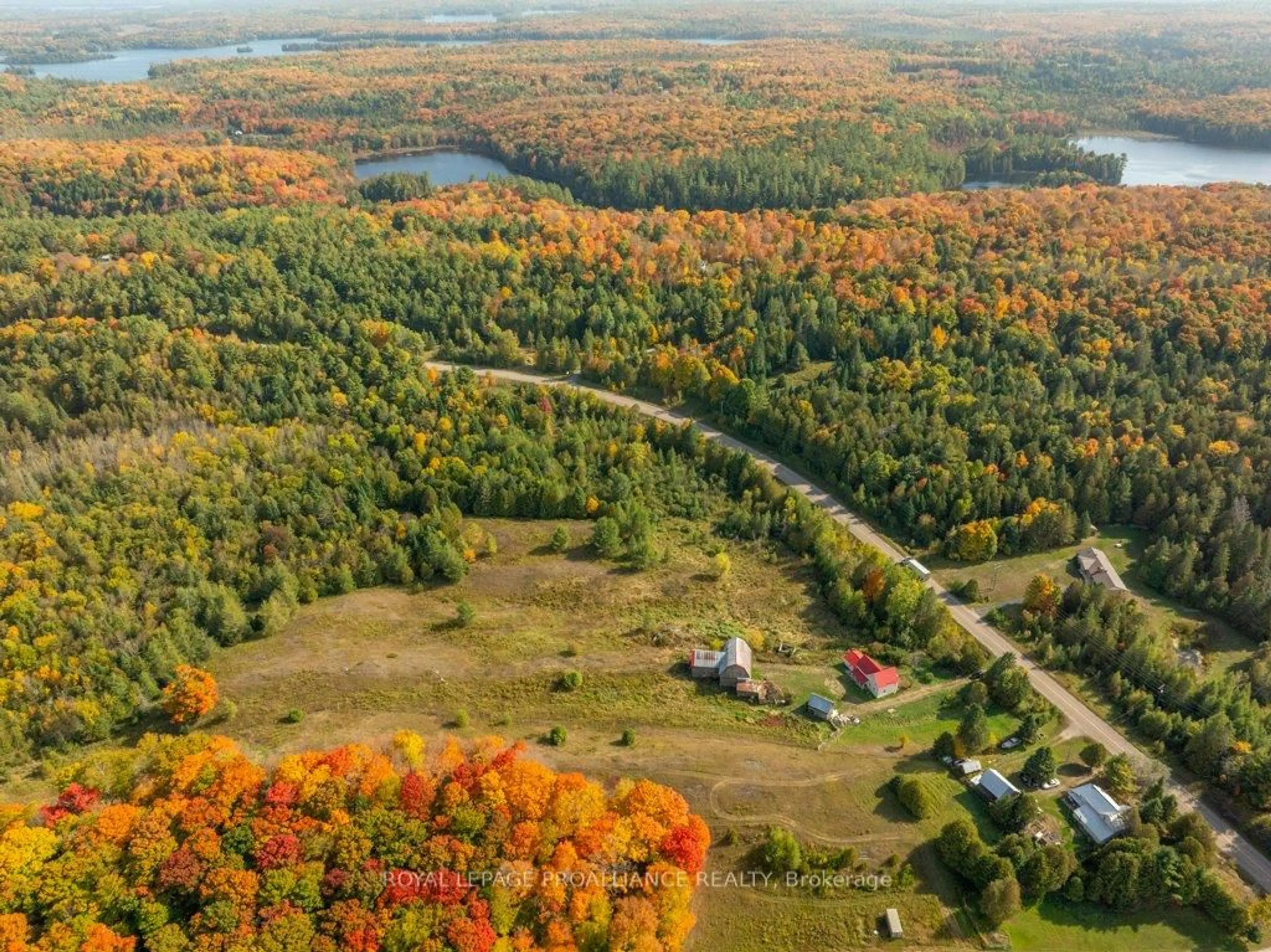 A pic from outside/outdoor area/front of a property/back of a property/a pic from drone, forest/trees view for 5948 Ardoch Rd, Ardoch Ontario K0H 1C0