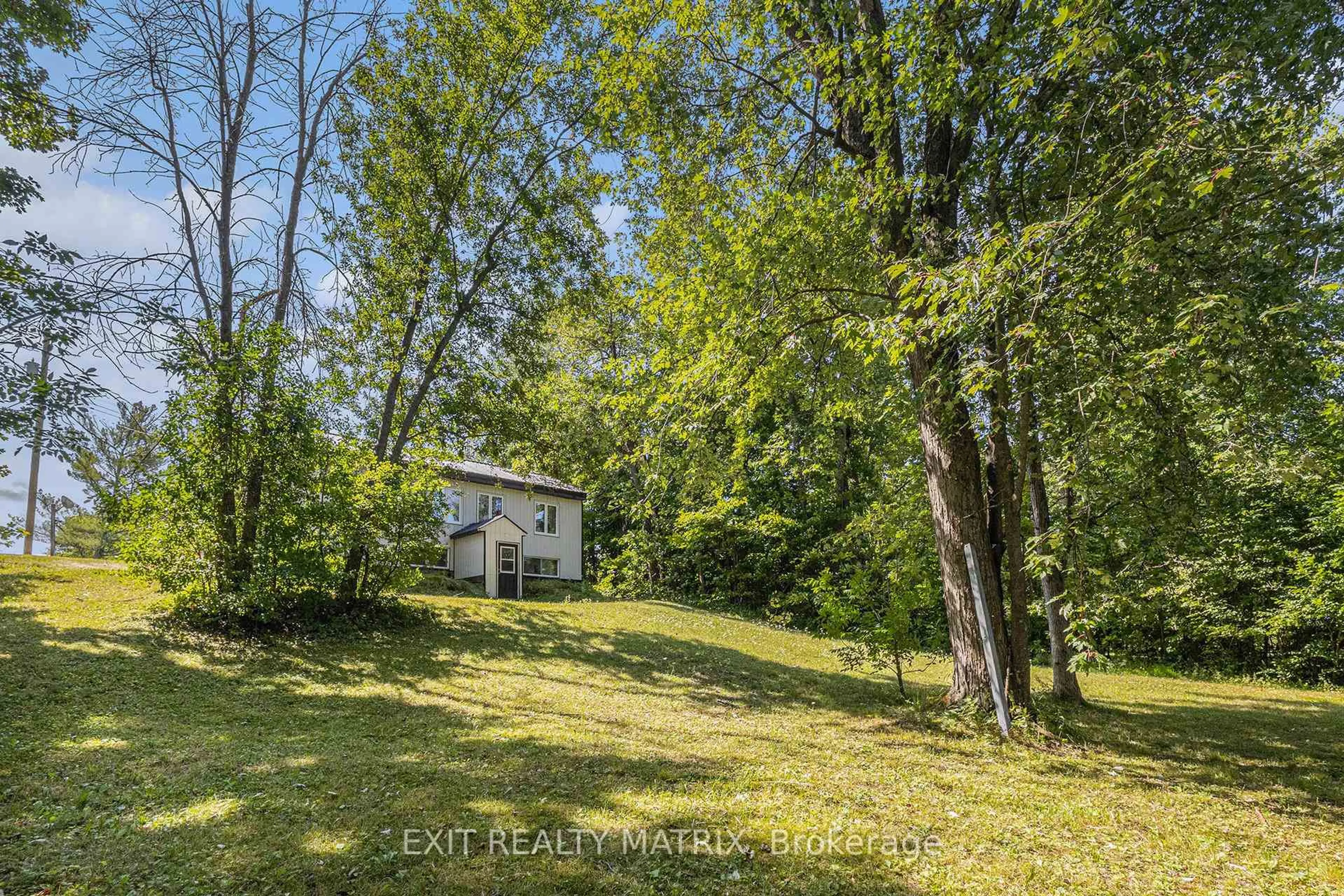 A pic from outside/outdoor area/front of a property/back of a property/a pic from drone, forest/trees view for 3357 Concession 1 Rd, Alfred and Plantagenet Ontario K0B 1J0