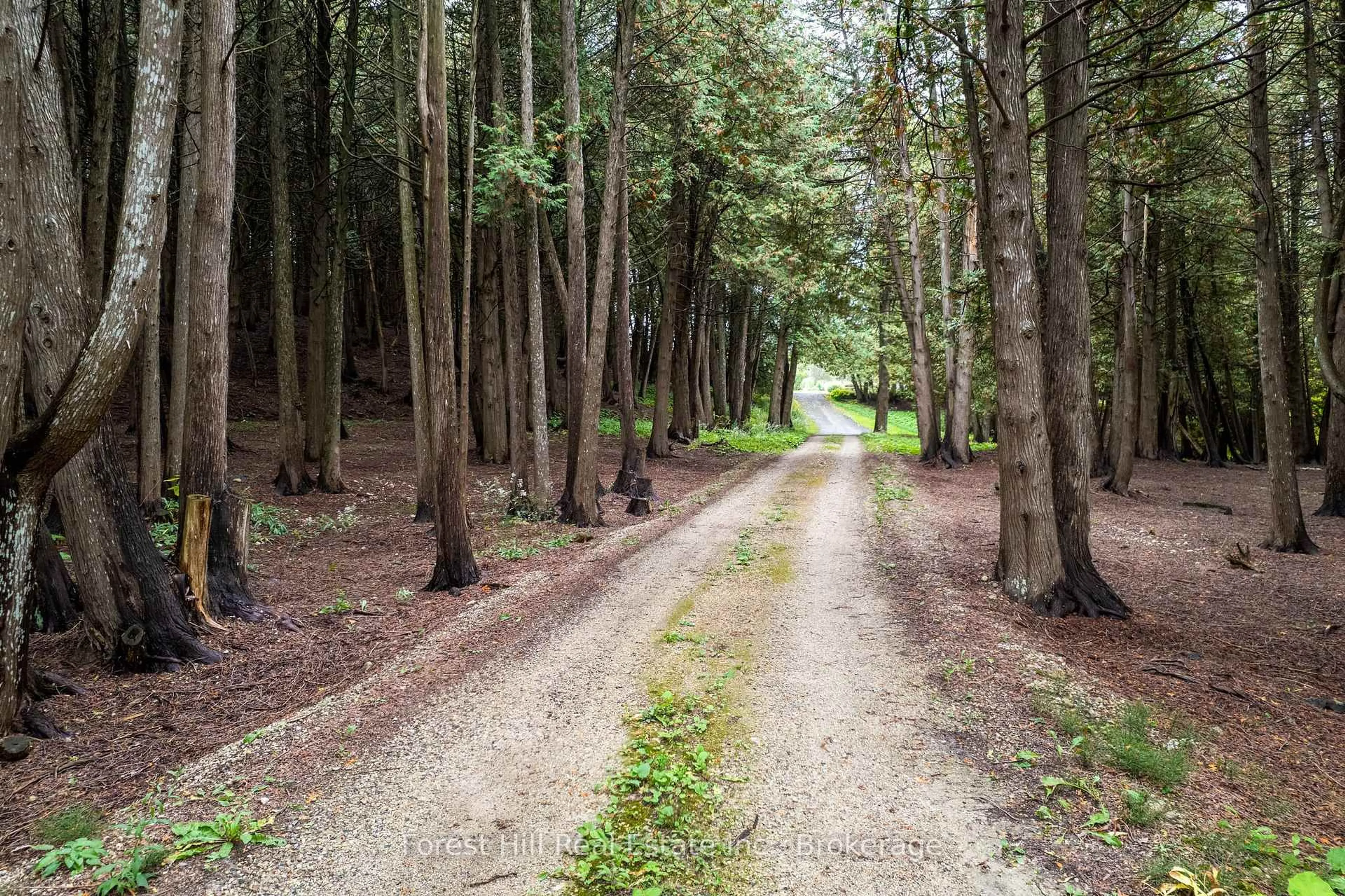 Patio, forest/trees view for 403288 Grey Road 4, West Grey Ontario N0G 1R0