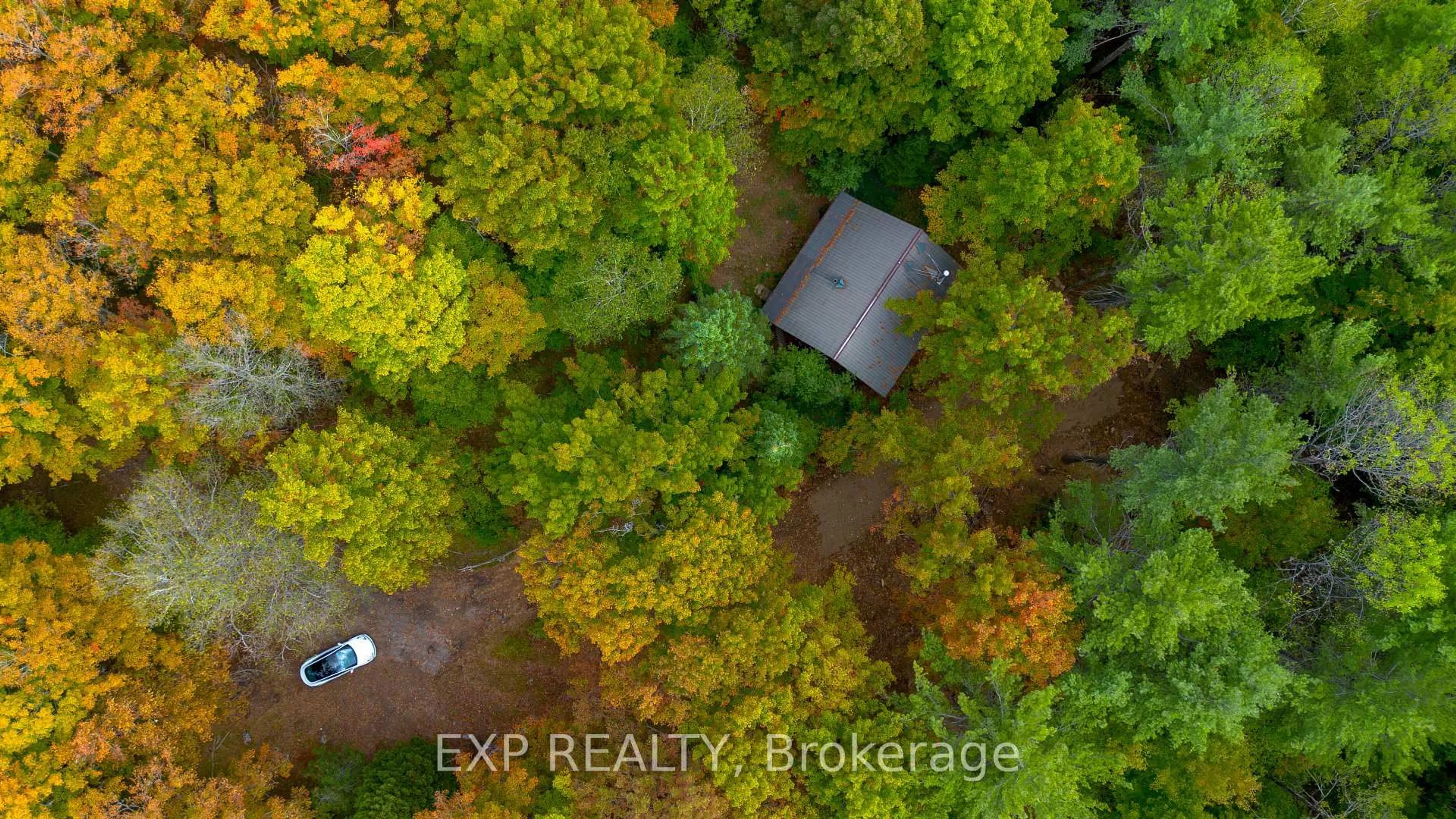 A pic from outside/outdoor area/front of a property/back of a property/a pic from drone, forest/trees view for 10282 County Road 503, Highlands East Ontario K0M 1R0