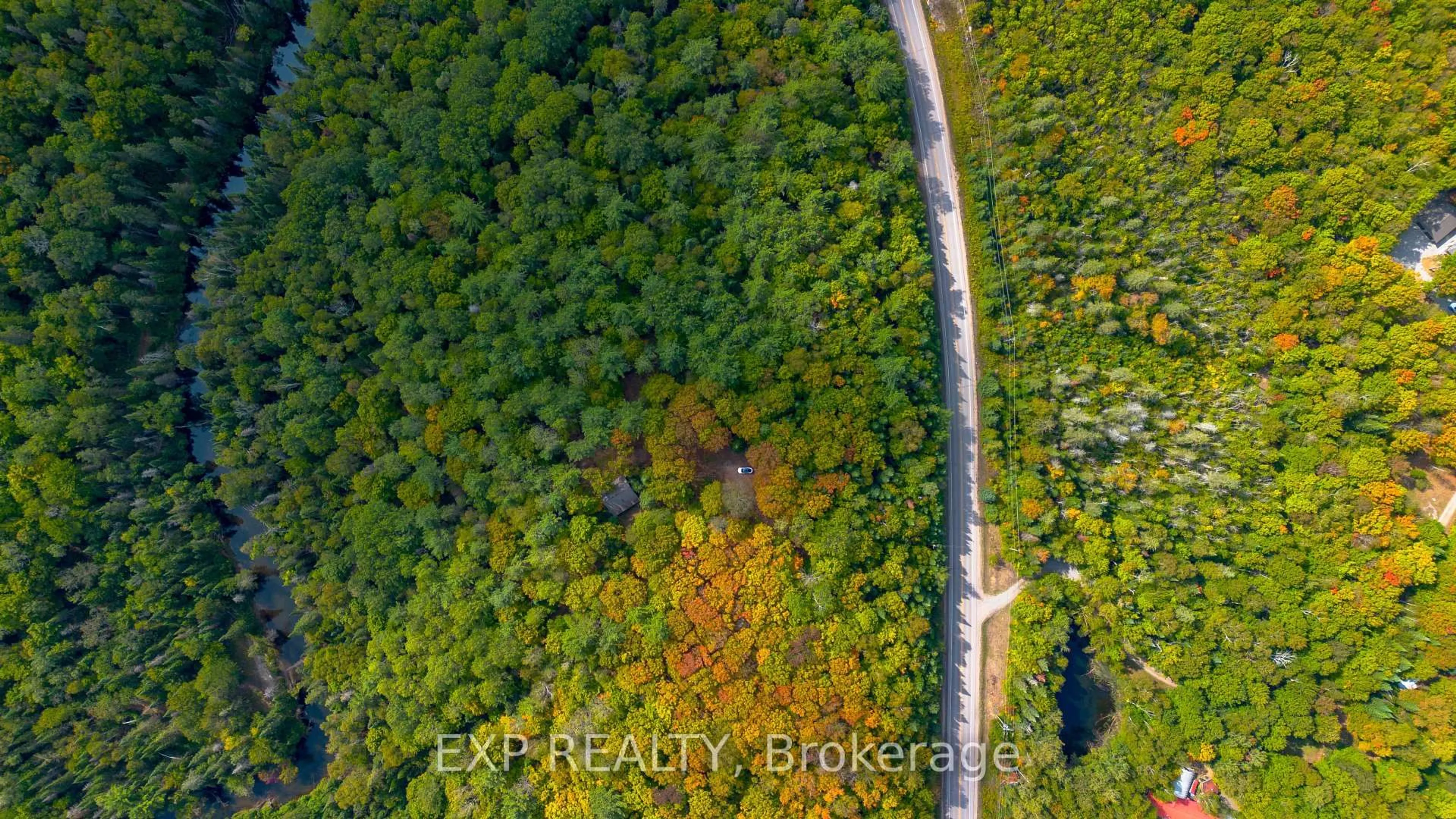 A pic from outside/outdoor area/front of a property/back of a property/a pic from drone, forest/trees view for 10282 County Road 503, Highlands East Ontario K0M 1R0