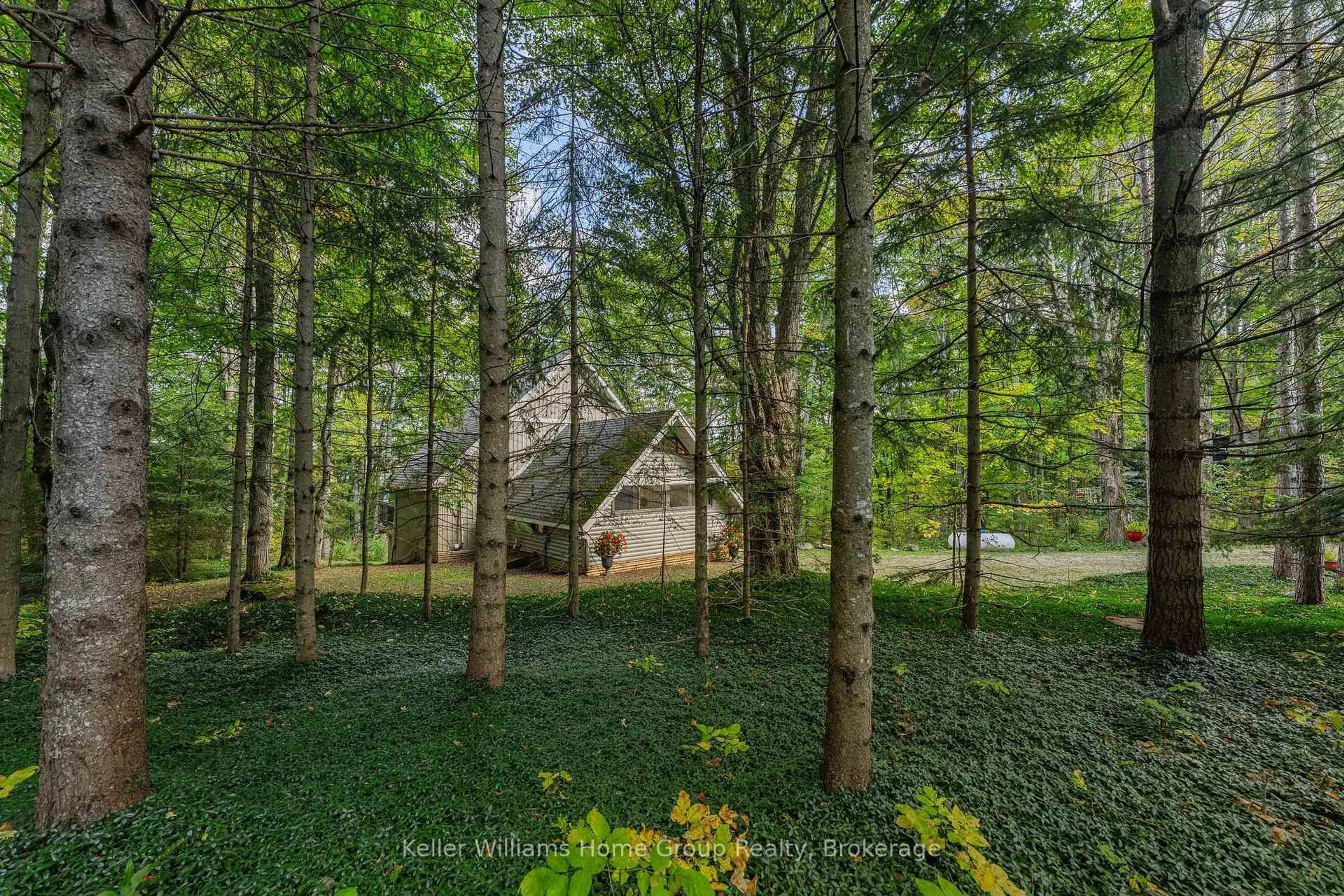 A pic from outside/outdoor area/front of a property/back of a property/a pic from drone, forest/trees view for 219 Bowles Bluff Rd, Grey Highlands Ontario L0C 1H0