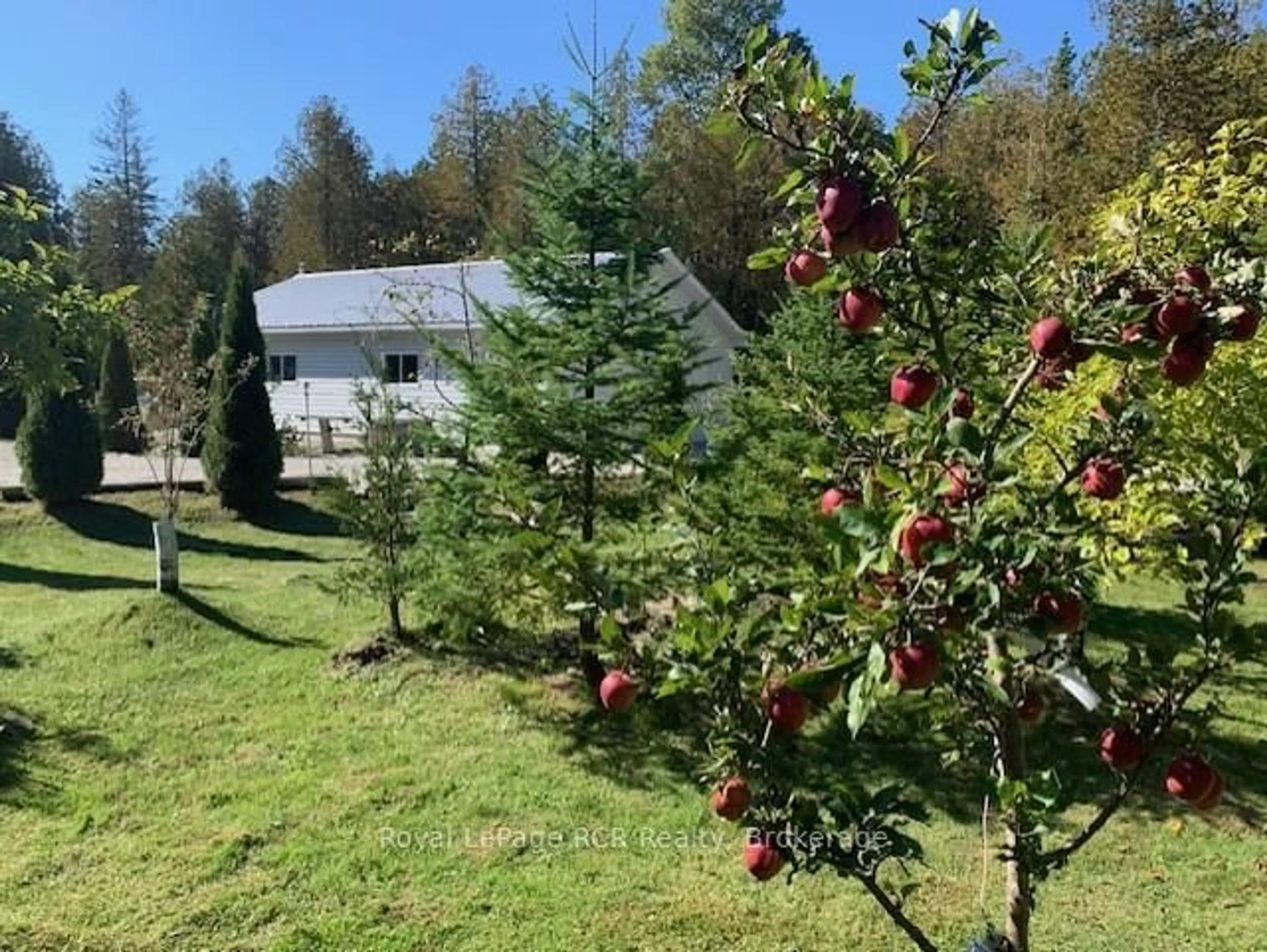 A pic from outside/outdoor area/front of a property/back of a property/a pic from drone, forest/trees view for 505 Pike Bay Rd, Northern Bruce Peninsula Ontario N0H 1W0
