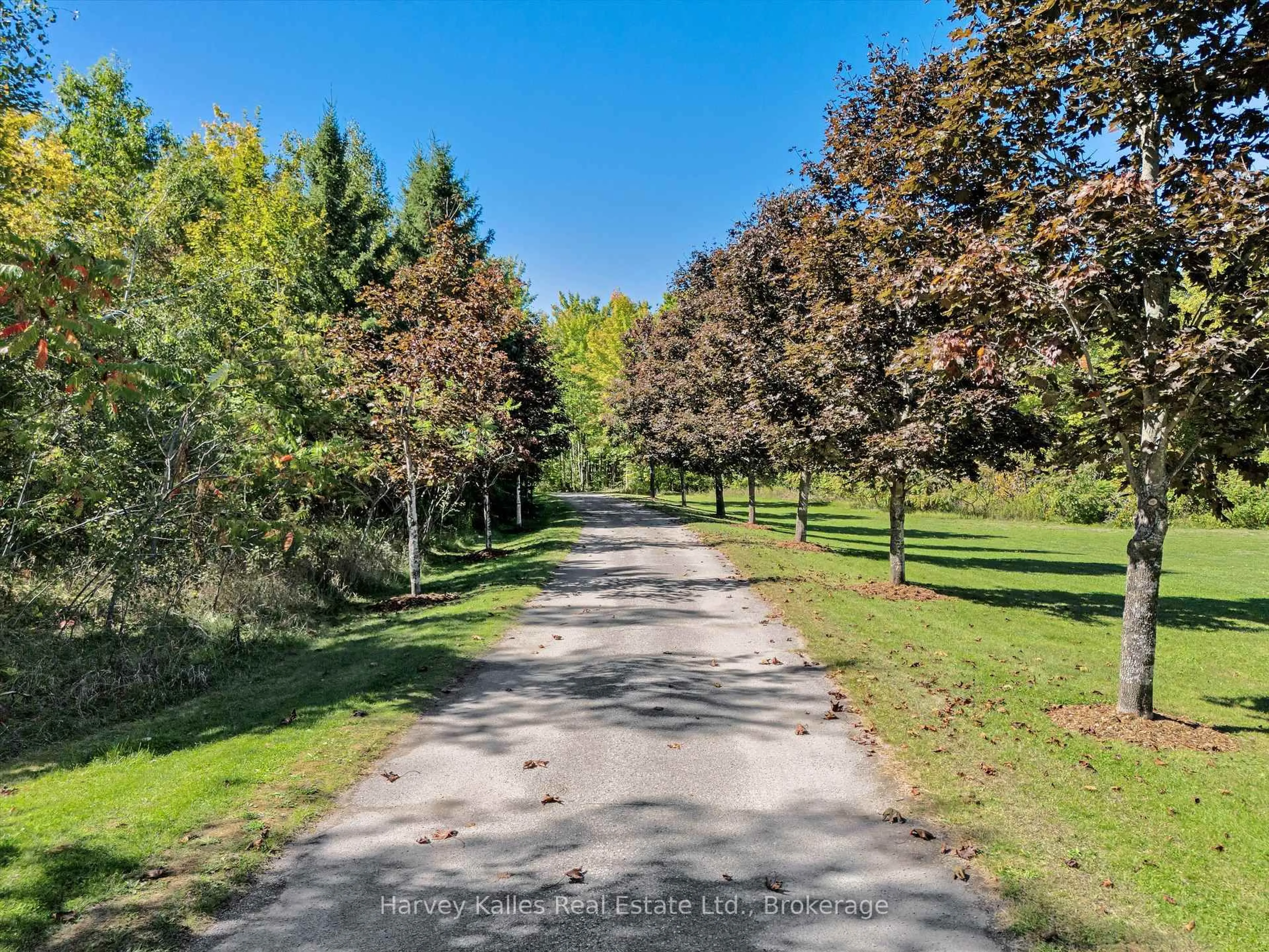 A pic from outside/outdoor area/front of a property/back of a property/a pic from drone, forest/trees view for 5 Leaside St, Kawartha Lakes Ontario K0M 1G0