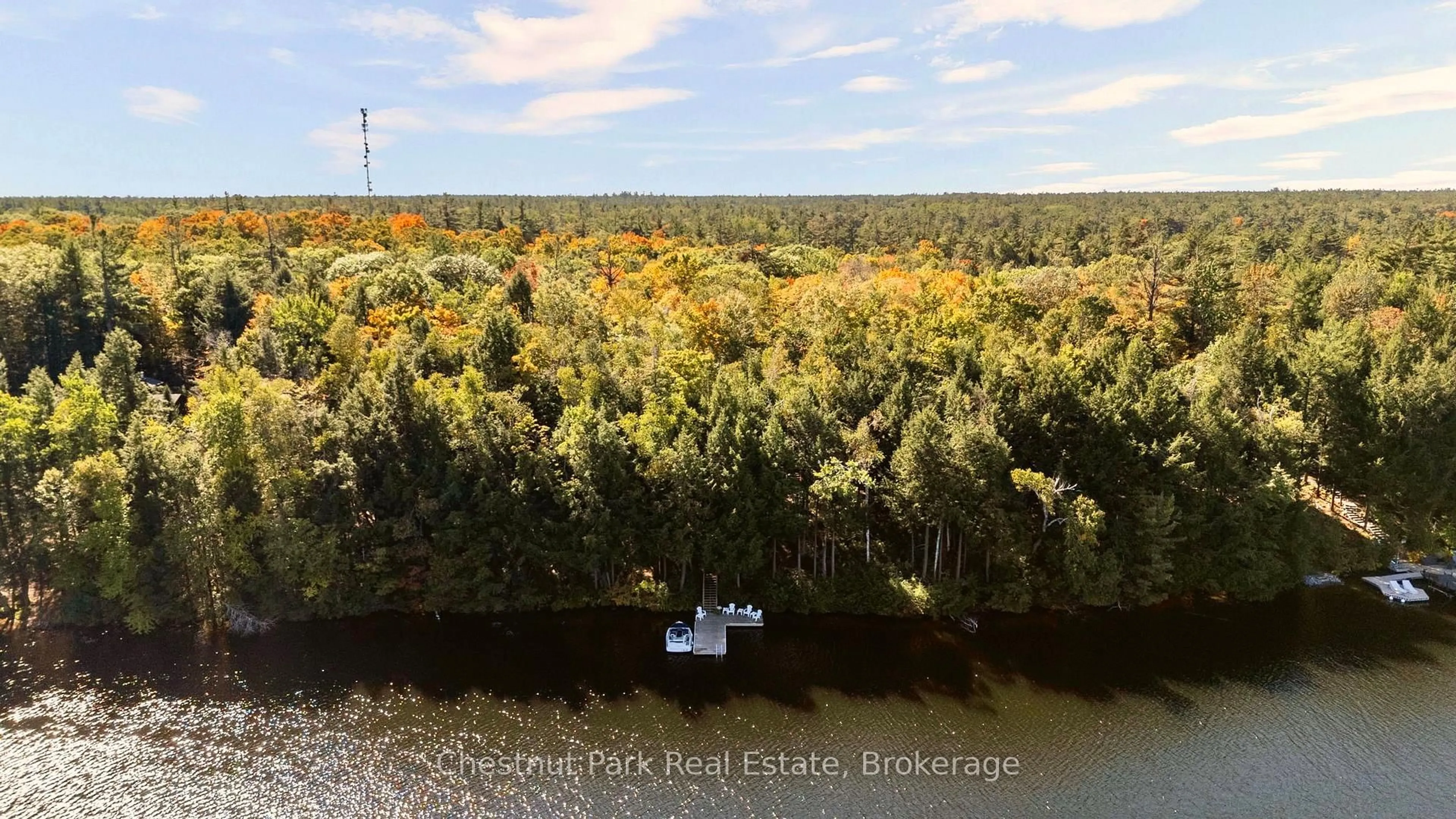 A pic from outside/outdoor area/front of a property/back of a property/a pic from drone, water/lake/river/ocean view for 10 Taylor (26LM10) Island, Gravenhurst Ontario P1P 1R2