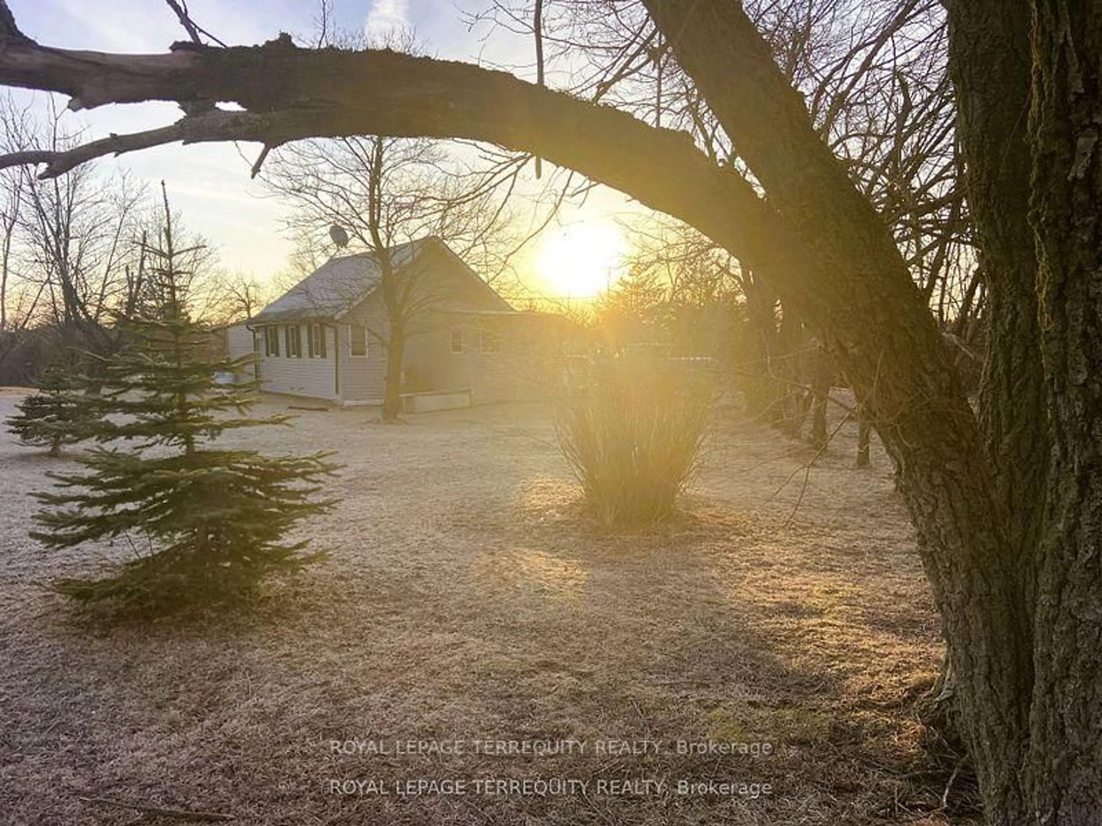 A pic from outside/outdoor area/front of a property/back of a property/a pic from drone, forest/trees view for 7665A County Rd 50, Trent Hills Ontario K0L 1L0