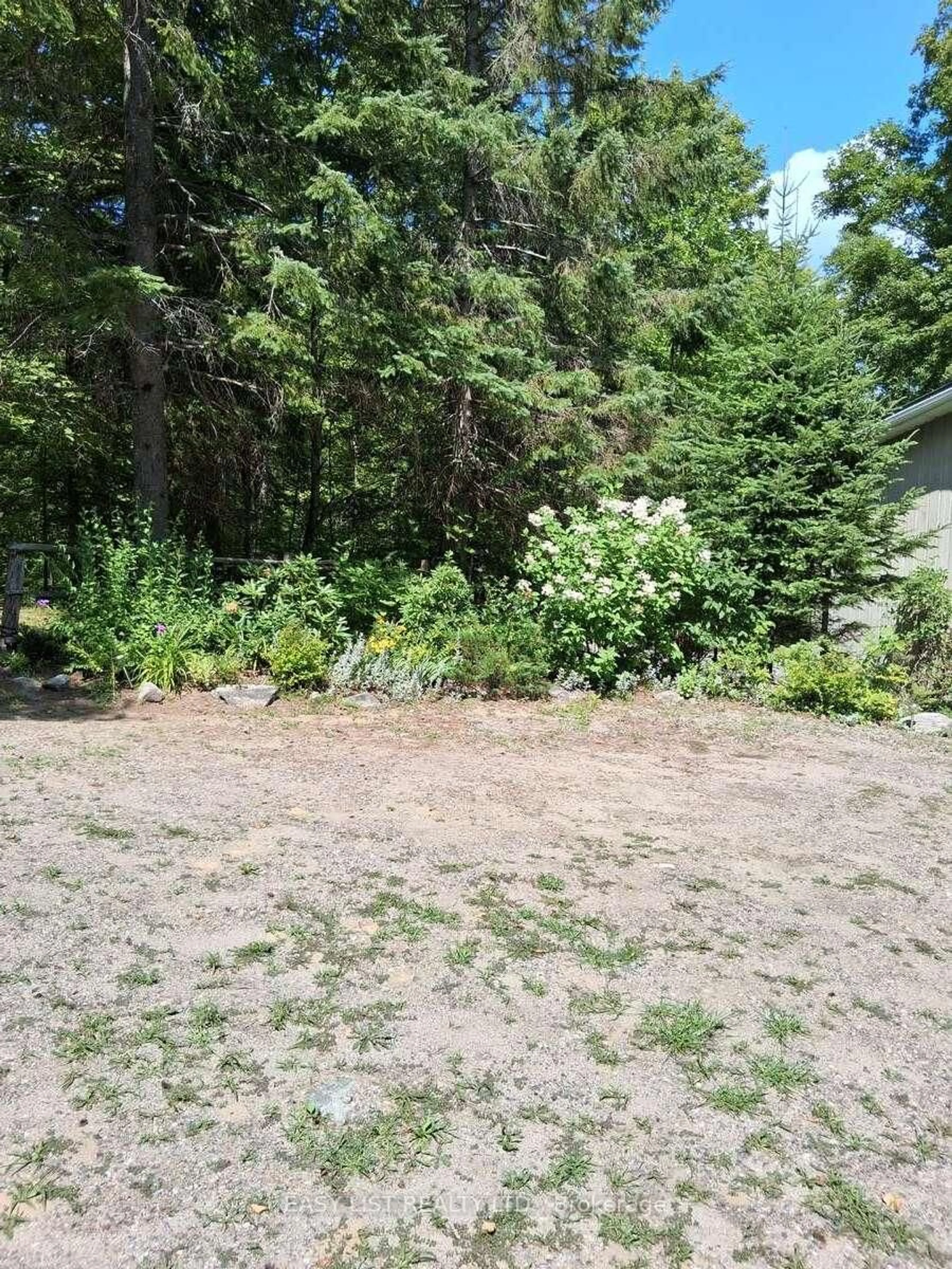 A pic from outside/outdoor area/front of a property/back of a property/a pic from drone, forest/trees view for 175 Old Man's Lake Lane, Magnetawan Ontario P0A 1P0
