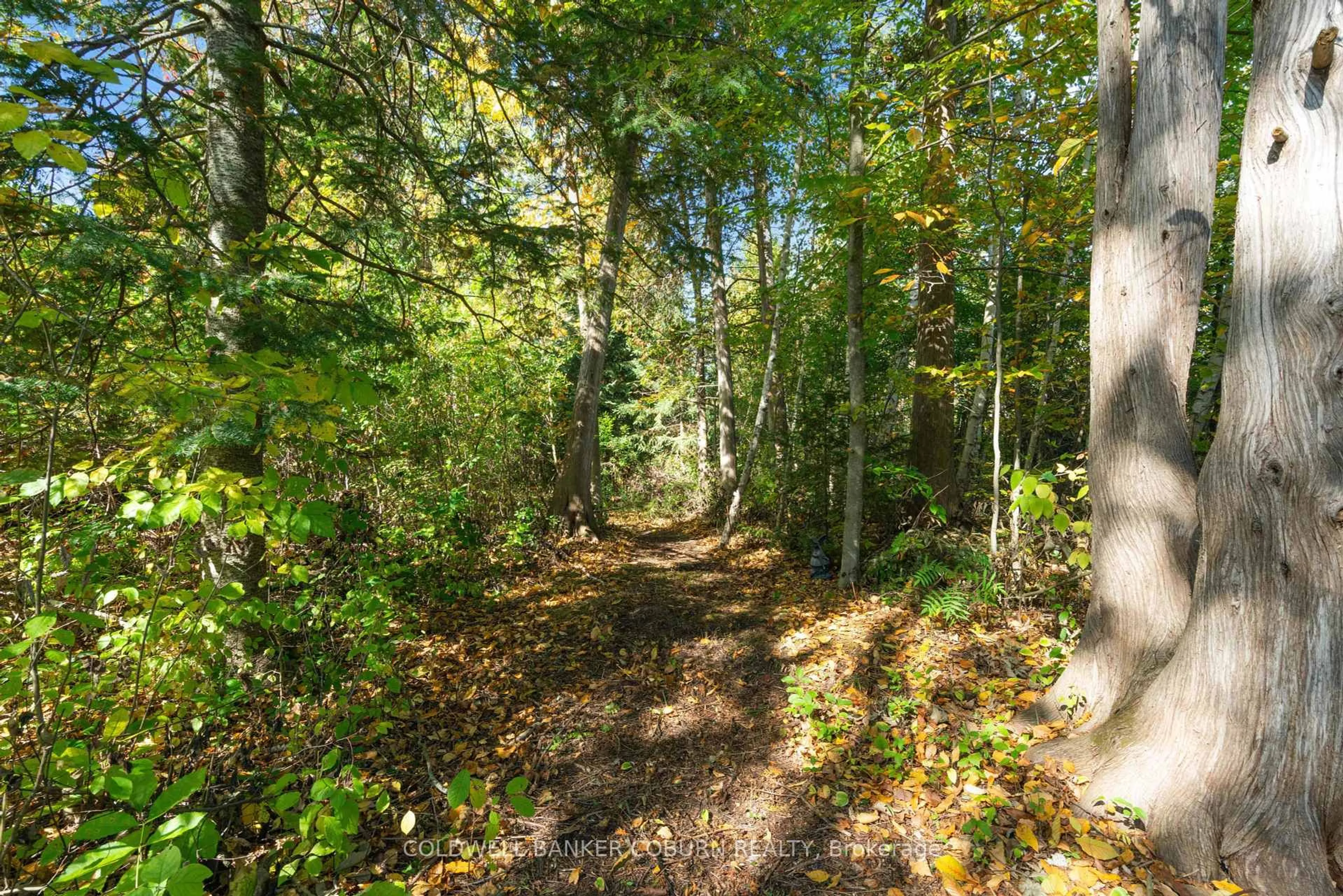 Patio, forest/trees view for 2 Sugar Maple Way, North Grenville Ontario K0G 1J0