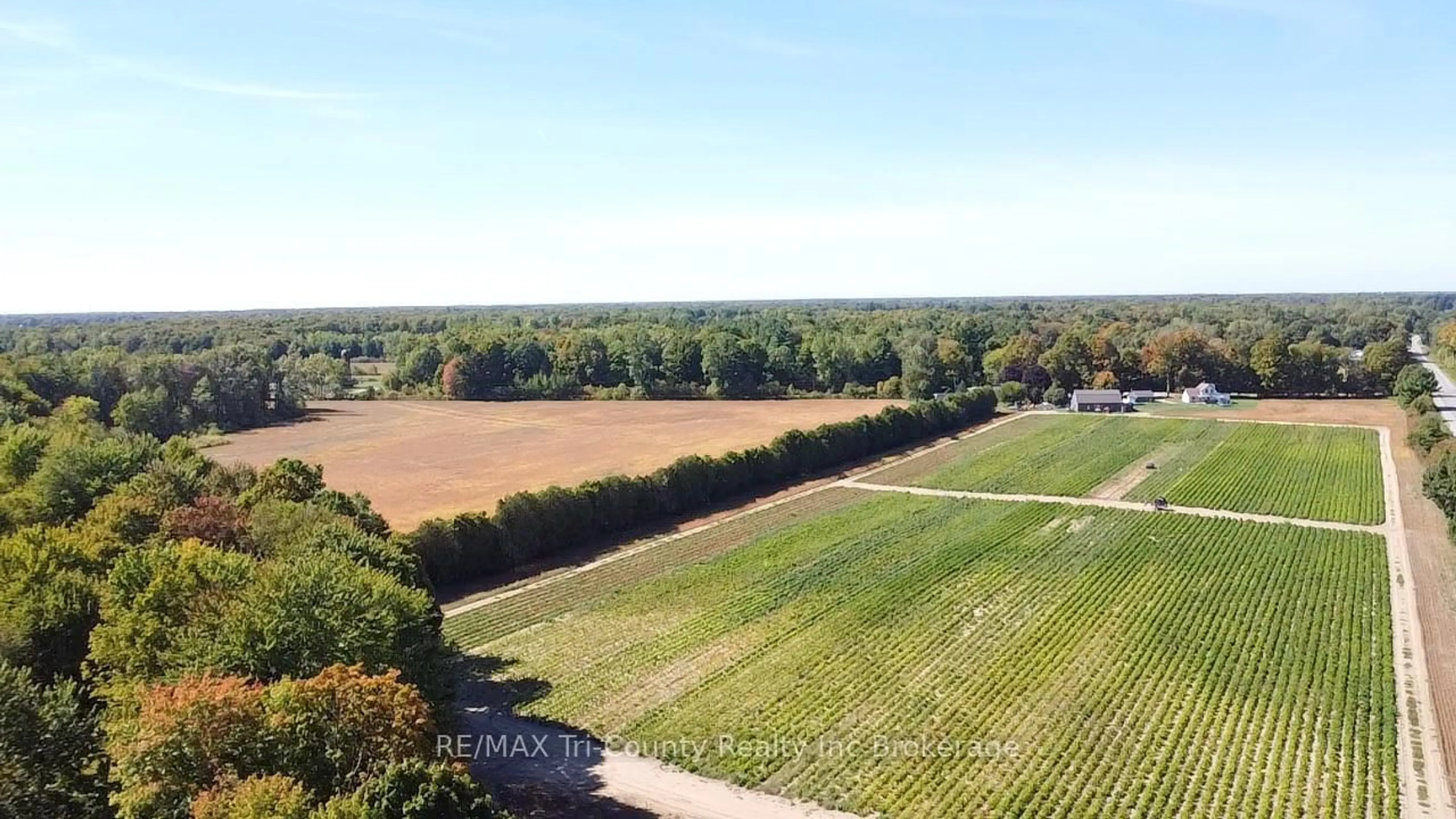 A pic from outside/outdoor area/front of a property/back of a property/a pic from drone, forest/trees view for 1225 1st Concession ENR Rd, Norfolk Ontario N0E 1G0