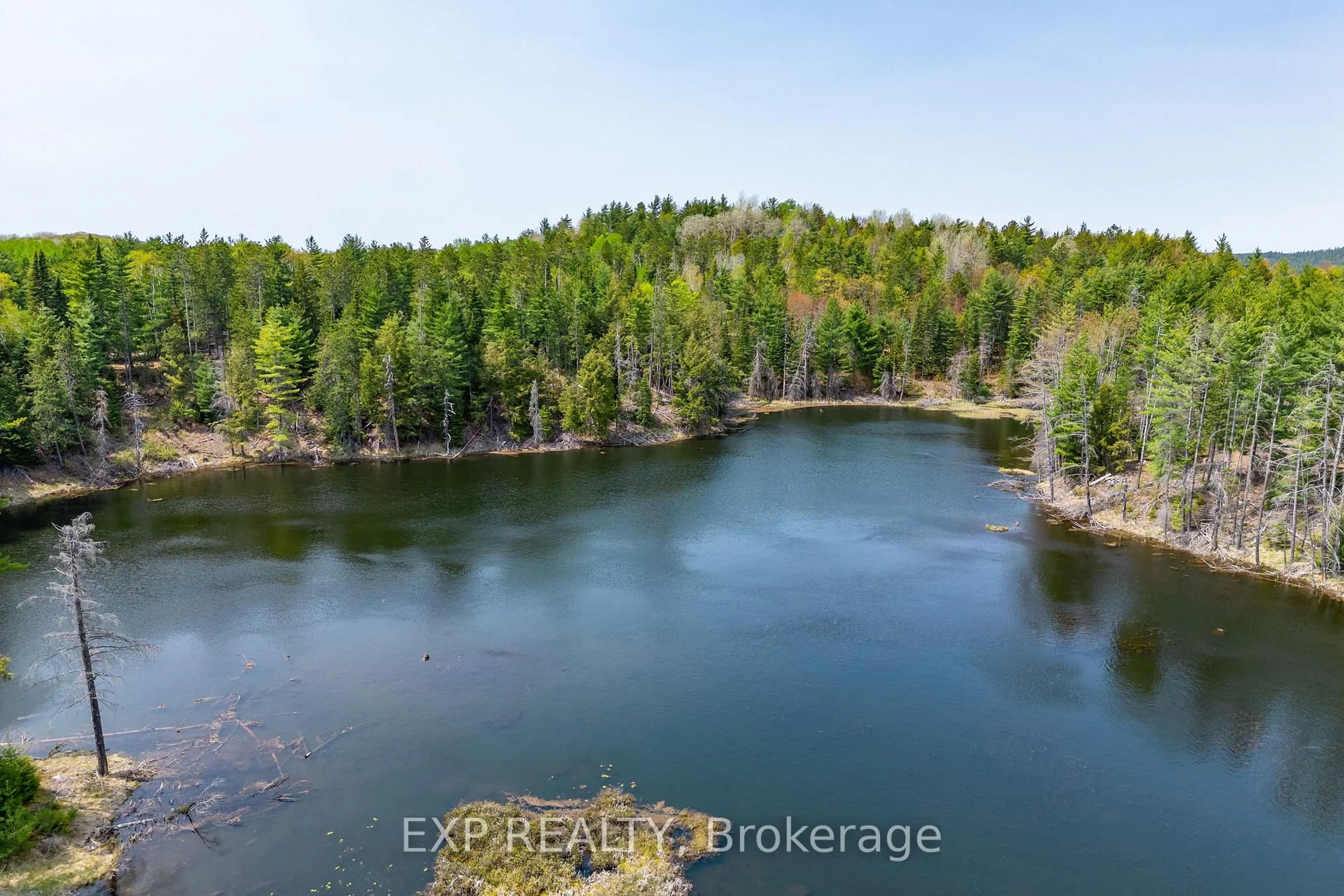 A pic from outside/outdoor area/front of a property/back of a property/a pic from drone, water/lake/river/ocean view for 11462 Opeongo Rd, Barry's Bay Ontario K0J 1B0