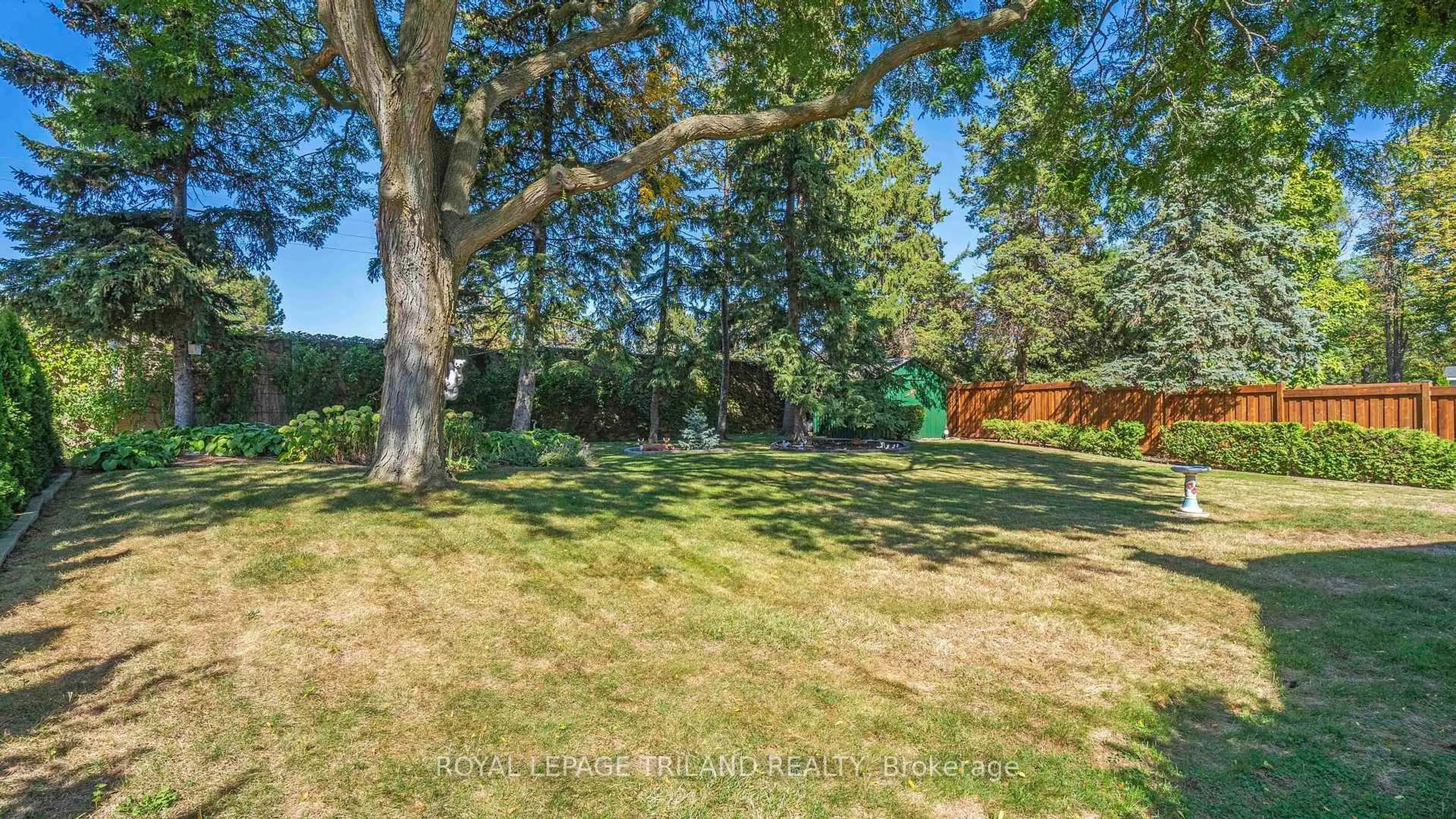 A pic from outside/outdoor area/front of a property/back of a property/a pic from drone, forest/trees view for 3 KENDALL Crt, London North Ontario N5X 1E4