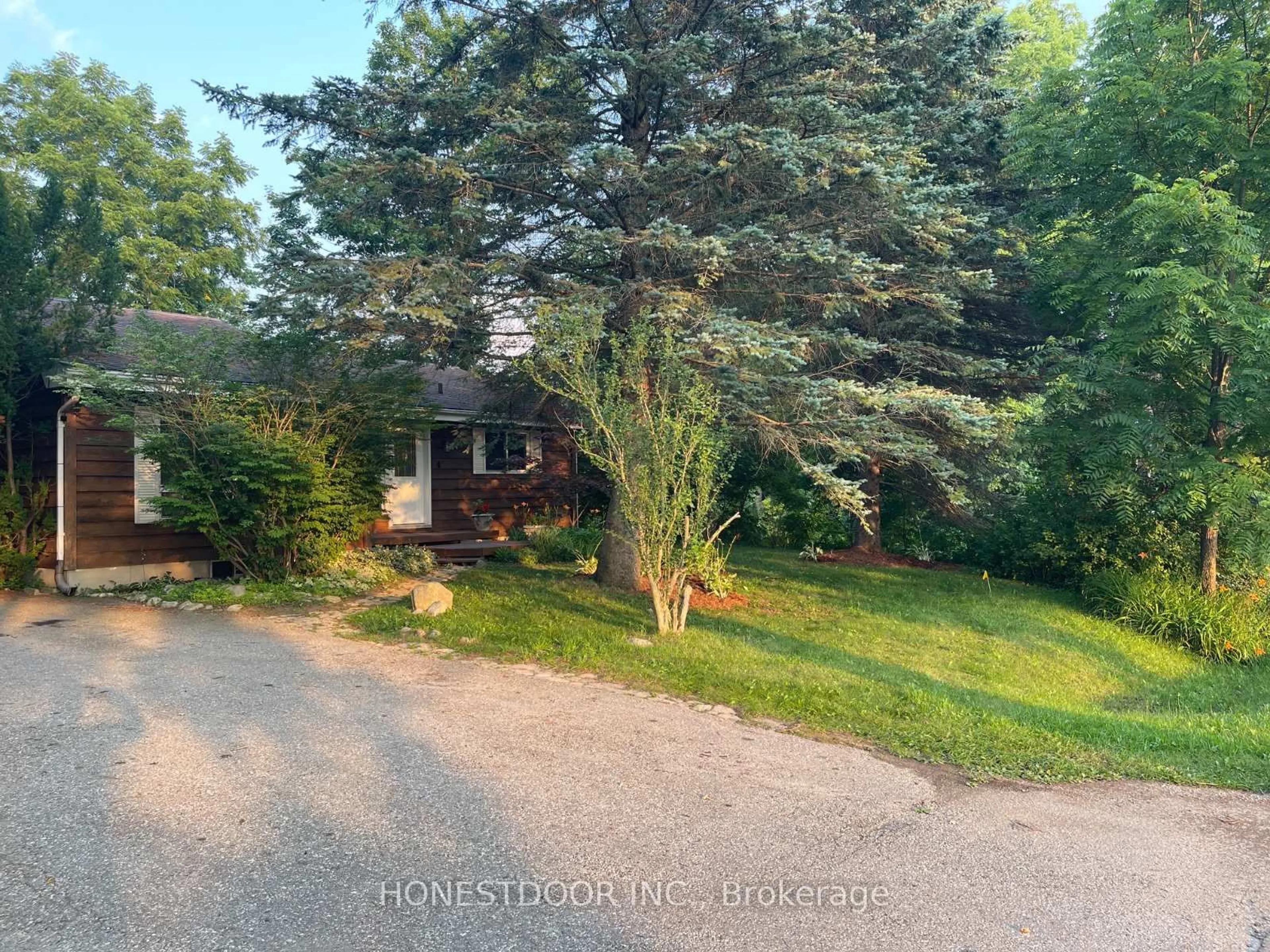 A pic from outside/outdoor area/front of a property/back of a property/a pic from drone, forest/trees view for 214 North St, Thames Centre Ontario N0L 1G3
