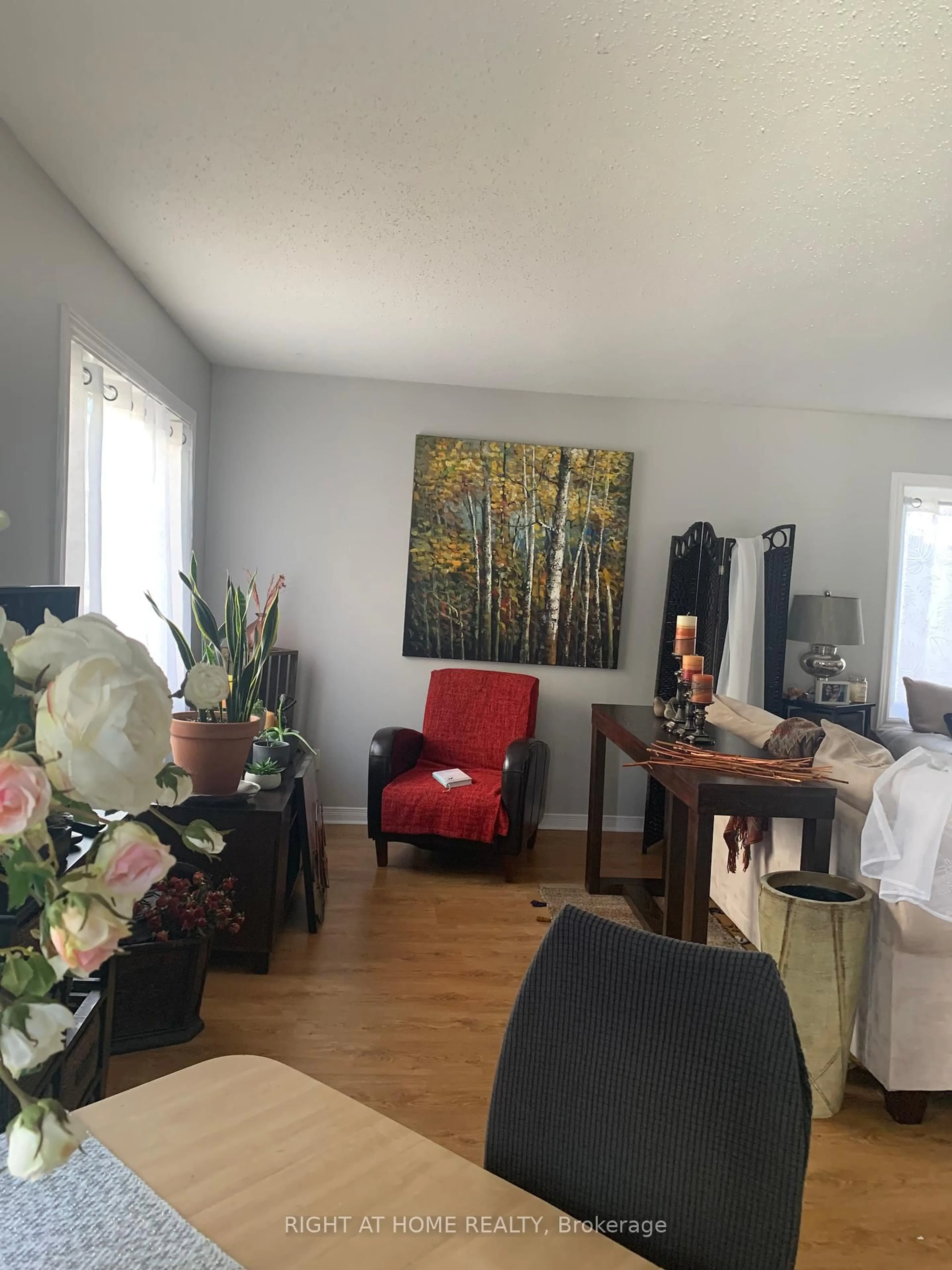 Living room with furniture, wood/laminate floor for 1033 Cummings Ave #E, Ottawa Ontario K1J 9K6