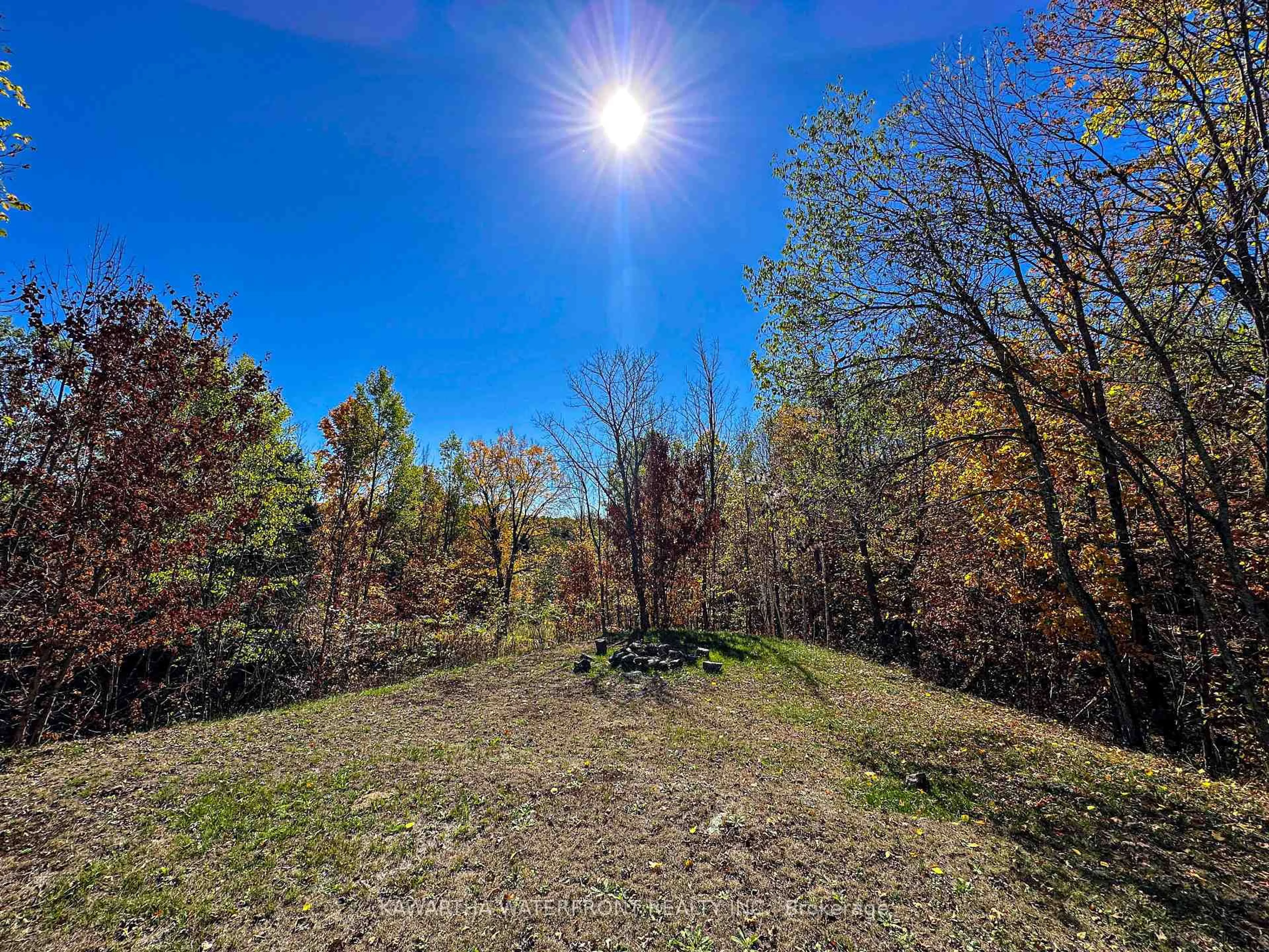 A pic from outside/outdoor area/front of a property/back of a property/a pic from drone, forest/trees view for 1120 English Circ, Highlands East Ontario K0M 1R0