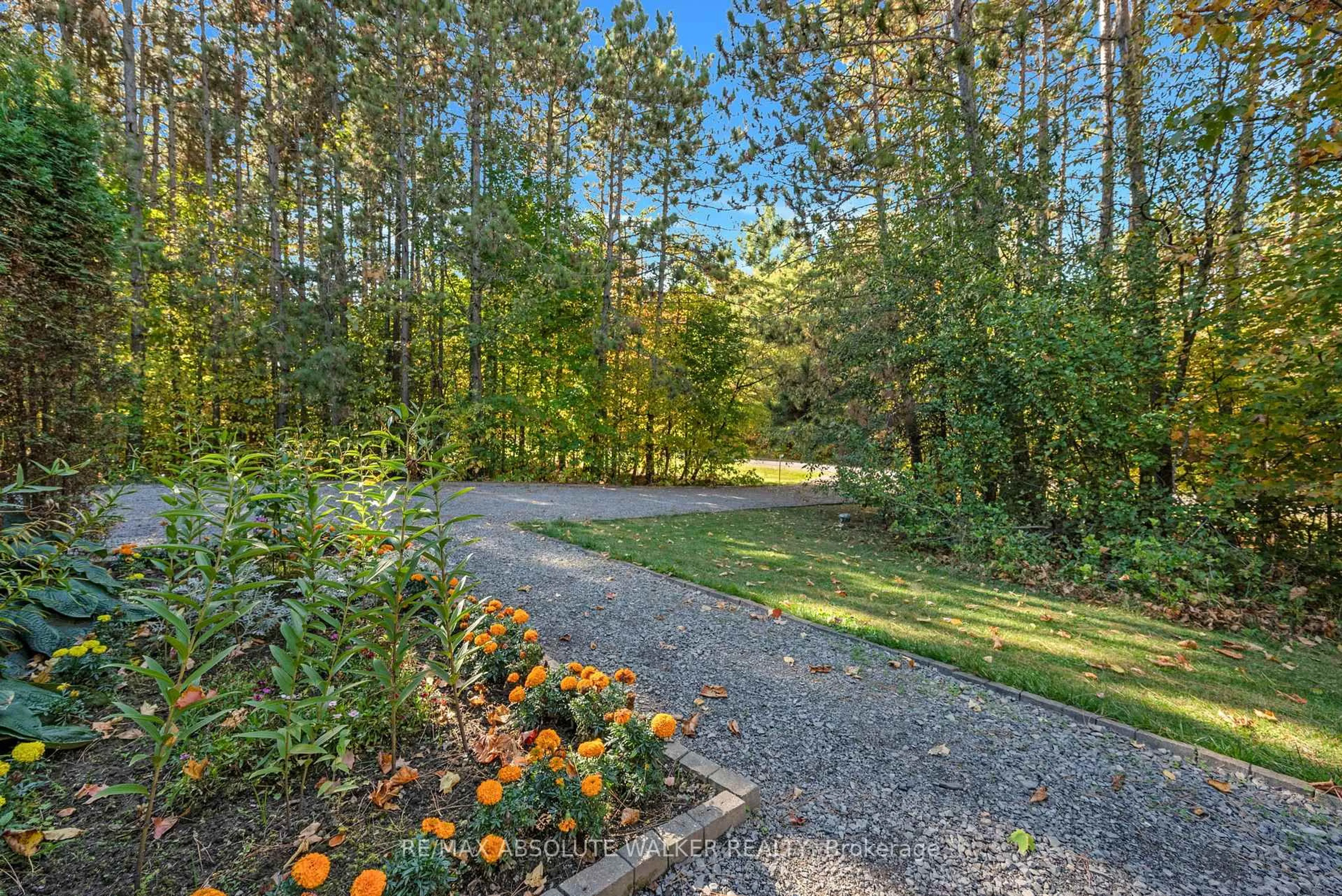 Patio, forest/trees view for 117 Plantation Dr, Ottawa Ontario K0A 3M0