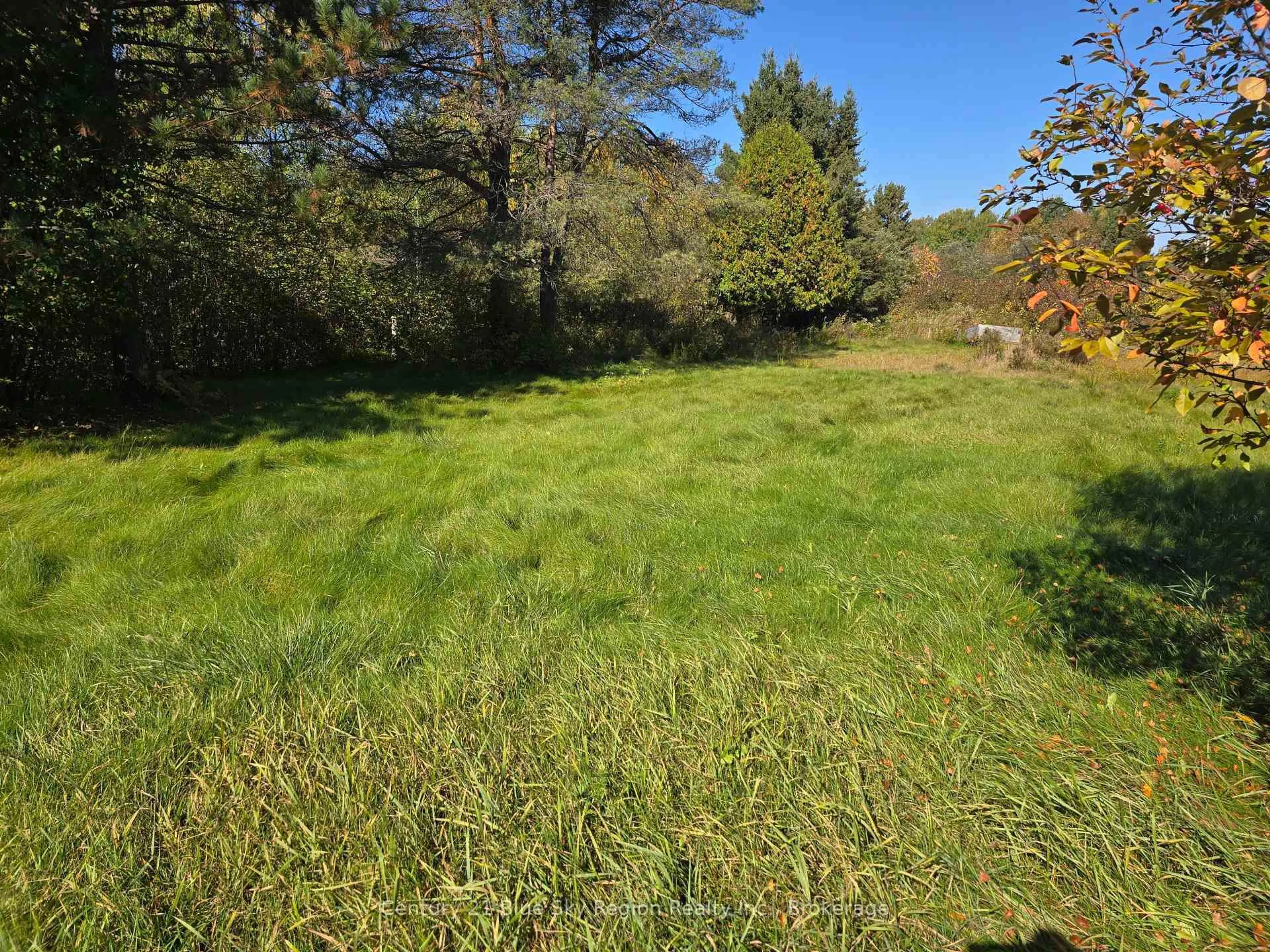 A pic from outside/outdoor area/front of a property/back of a property/a pic from drone, forest/trees view for 1631B River Rd, Chisholm Ontario P0H 1B0