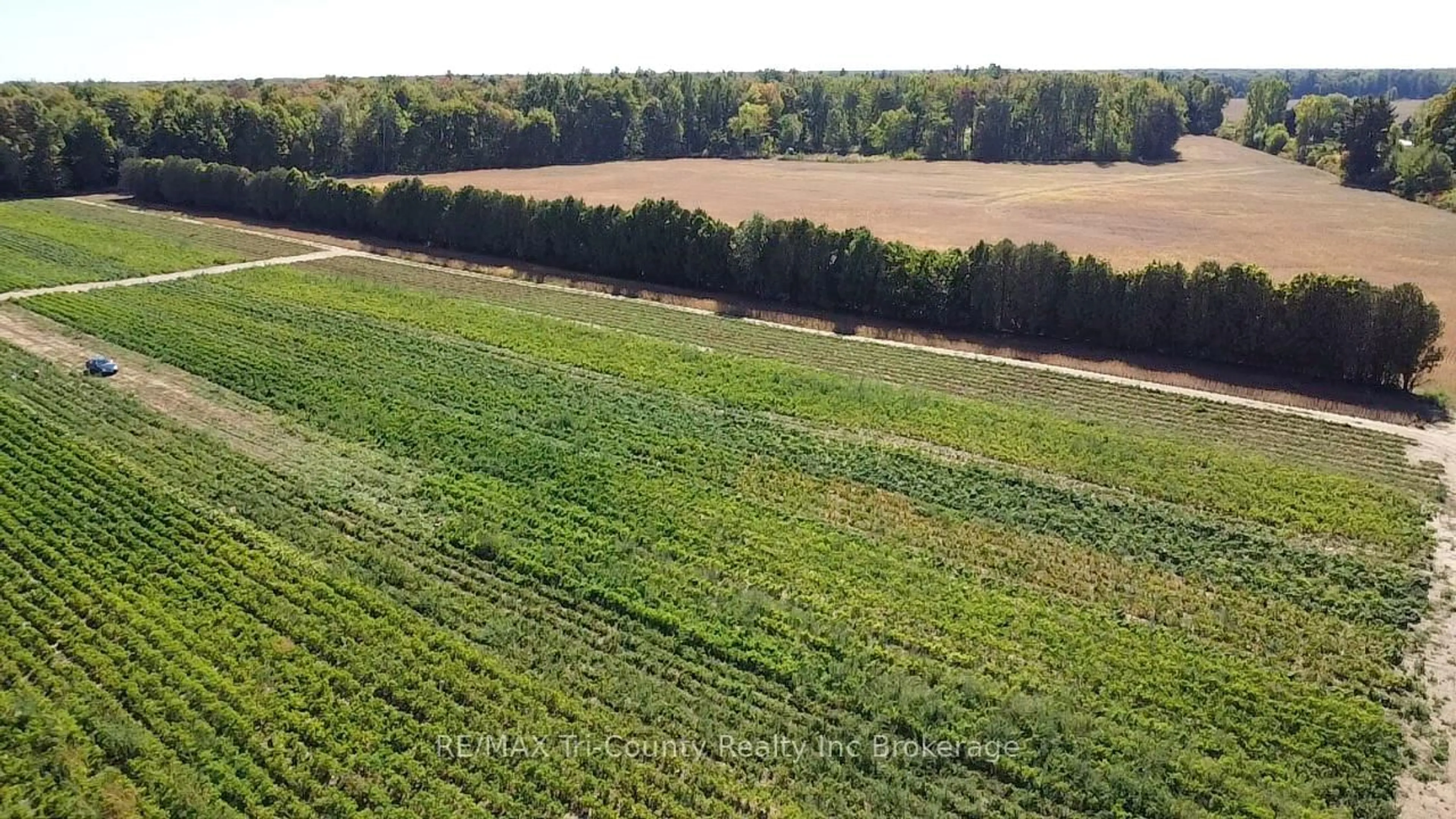 A pic from outside/outdoor area/front of a property/back of a property/a pic from drone, forest/trees view for 1225 1st Concession ENR Rd, Norfolk Ontario N0E 1G0