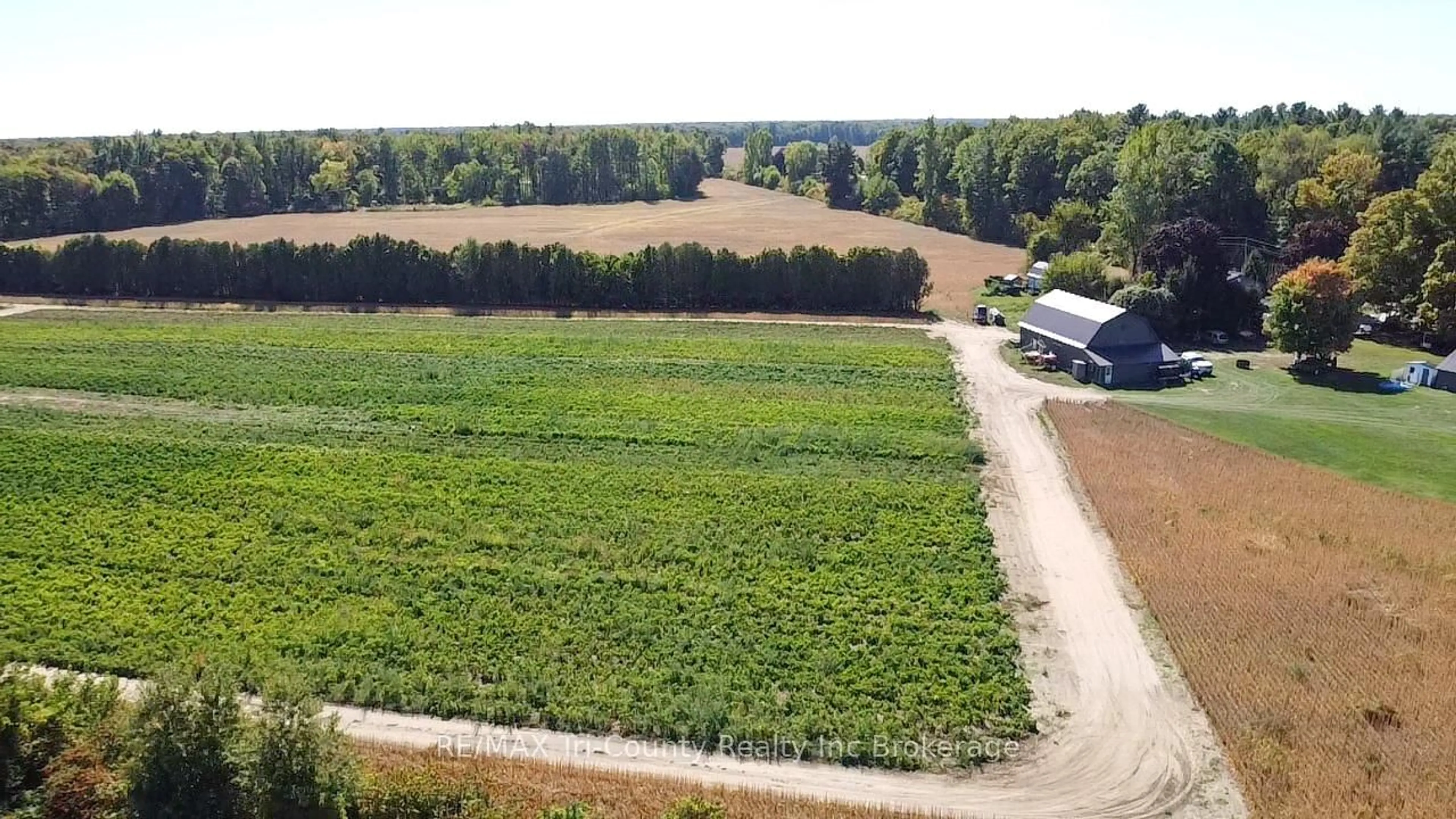 A pic from outside/outdoor area/front of a property/back of a property/a pic from drone, forest/trees view for 1225 1st Concession ENR Rd, Norfolk Ontario N0E 1G0