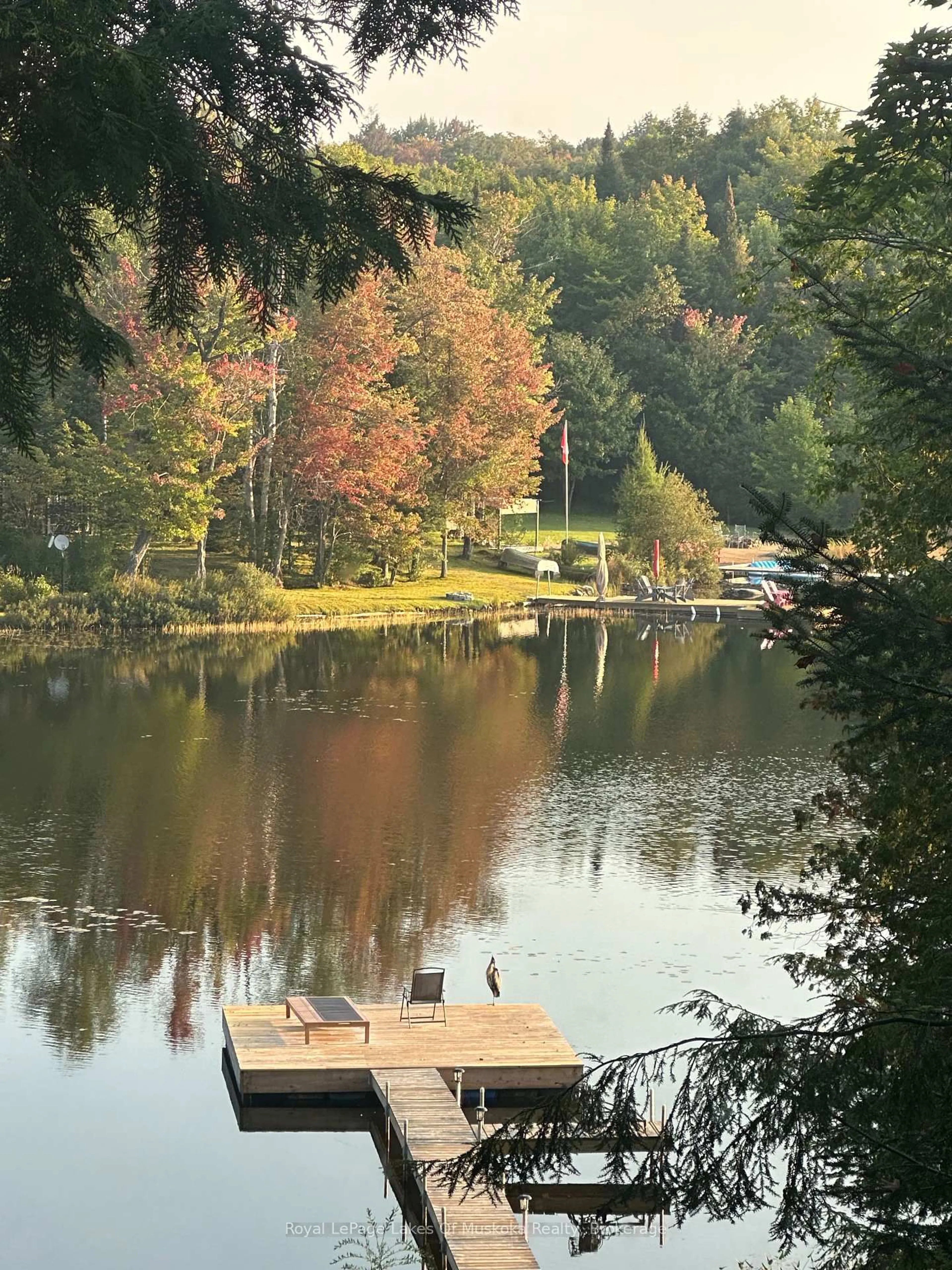 Blurry image for 879 Relative Rd, Armour Ontario P0A 1C0
