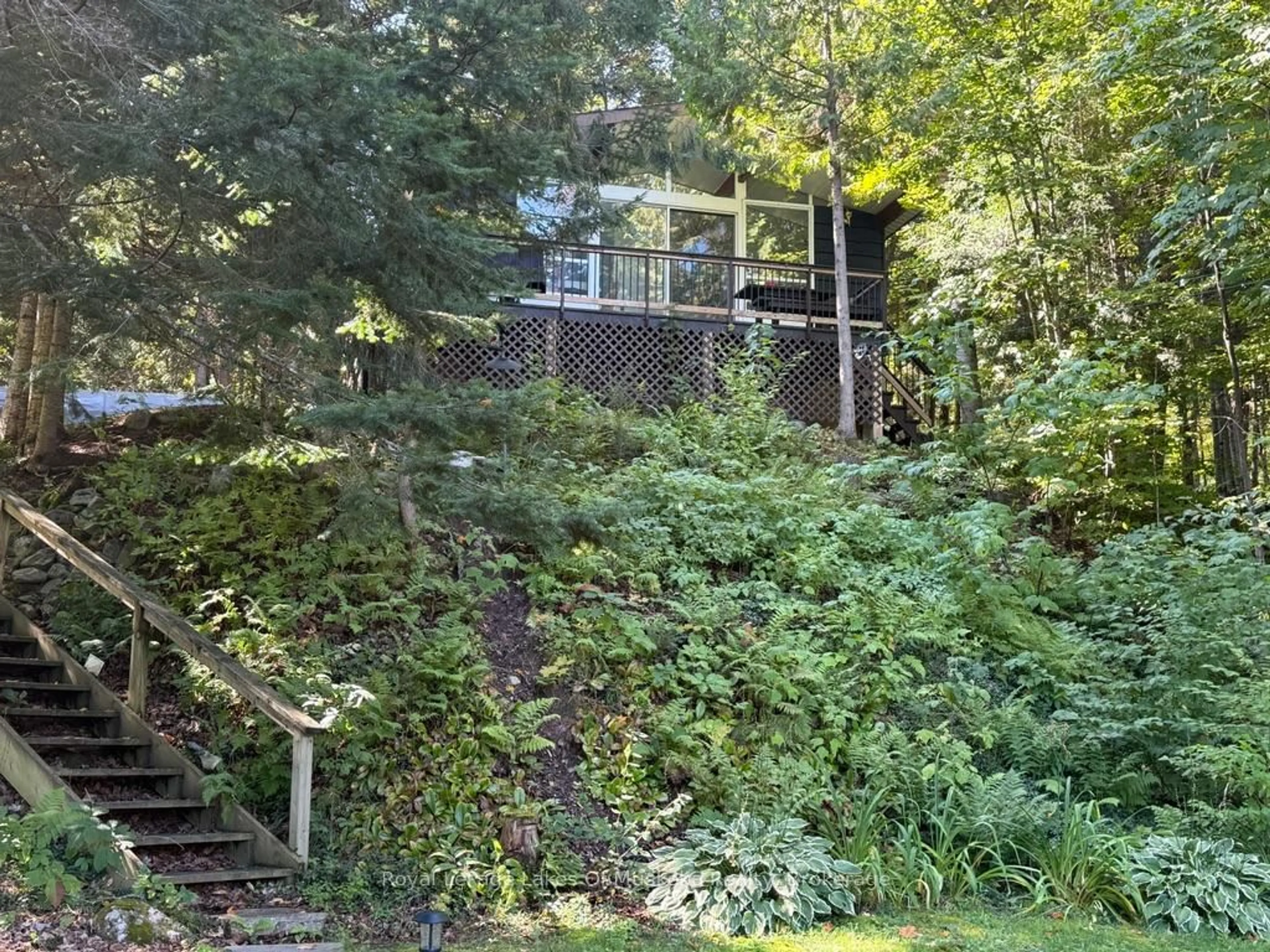 A pic from outside/outdoor area/front of a property/back of a property/a pic from drone, forest/trees view for 879 Relative Rd, Armour Ontario P0A 1C0