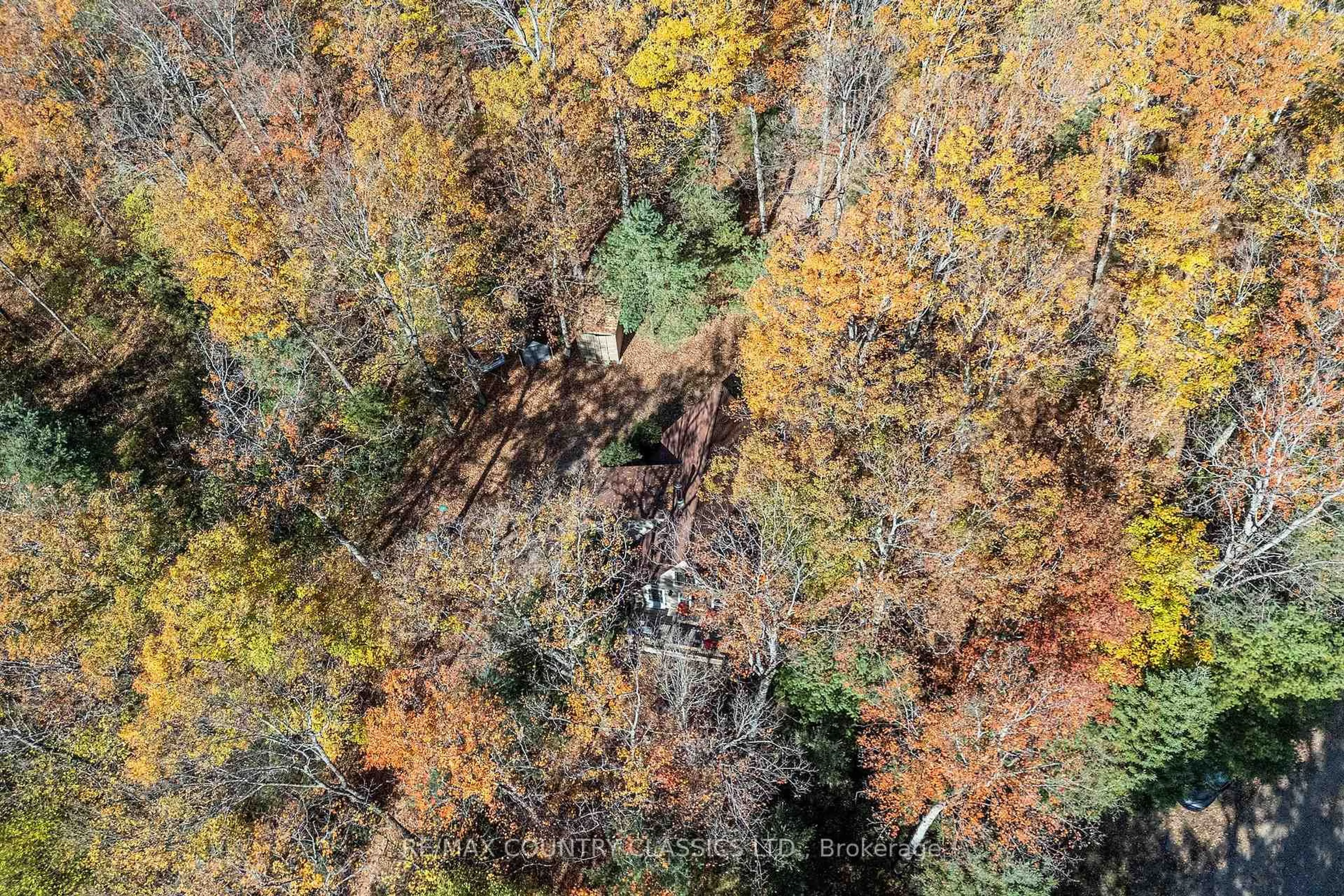 Blurry image for 1201 MORAINE Dr, Highlands East Ontario K0L 1M0