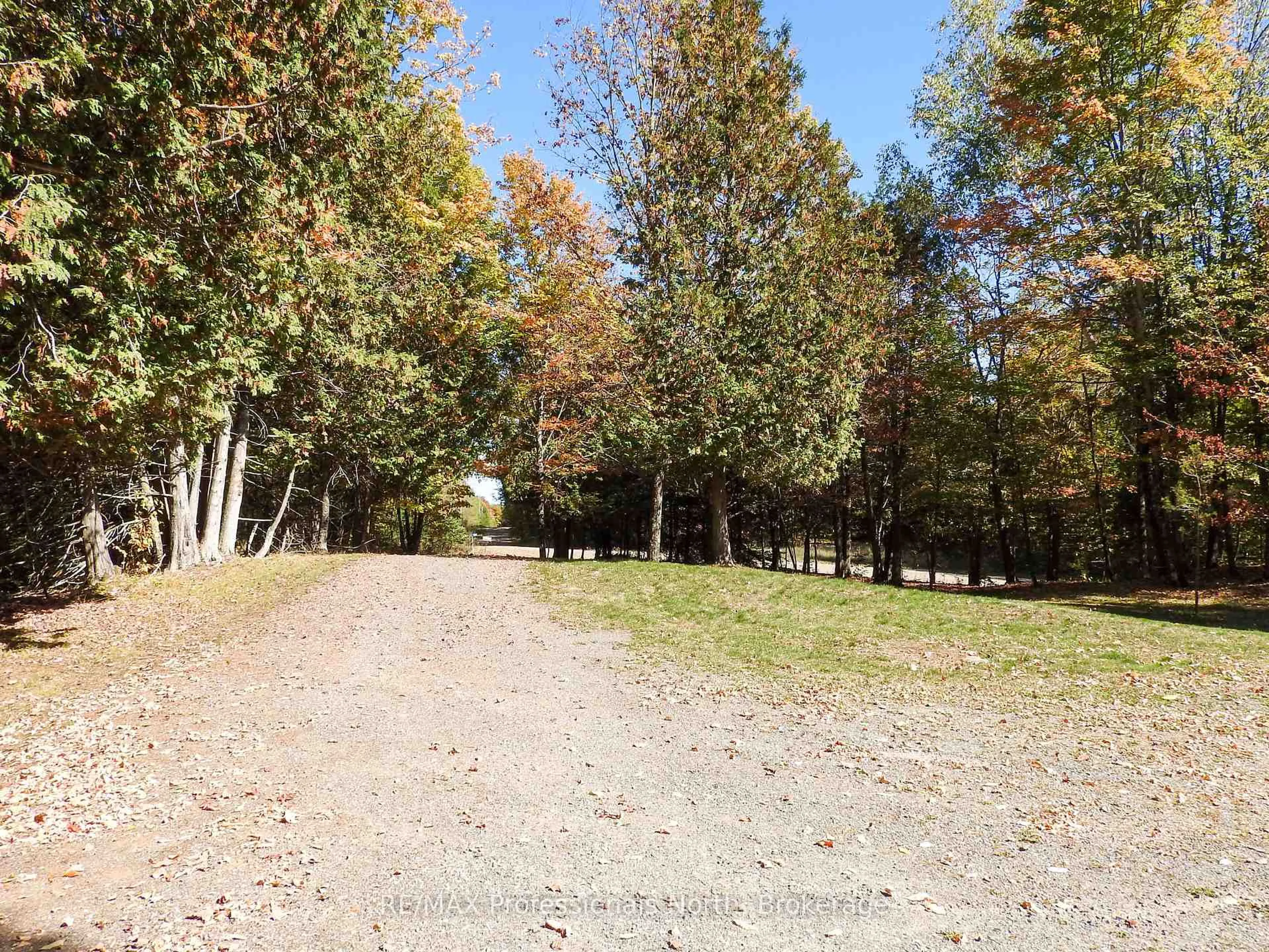 A pic from outside/outdoor area/front of a property/back of a property/a pic from drone, forest/trees view for 1386 Ingram Rd, Coe Hill Ontario K0L 1P0