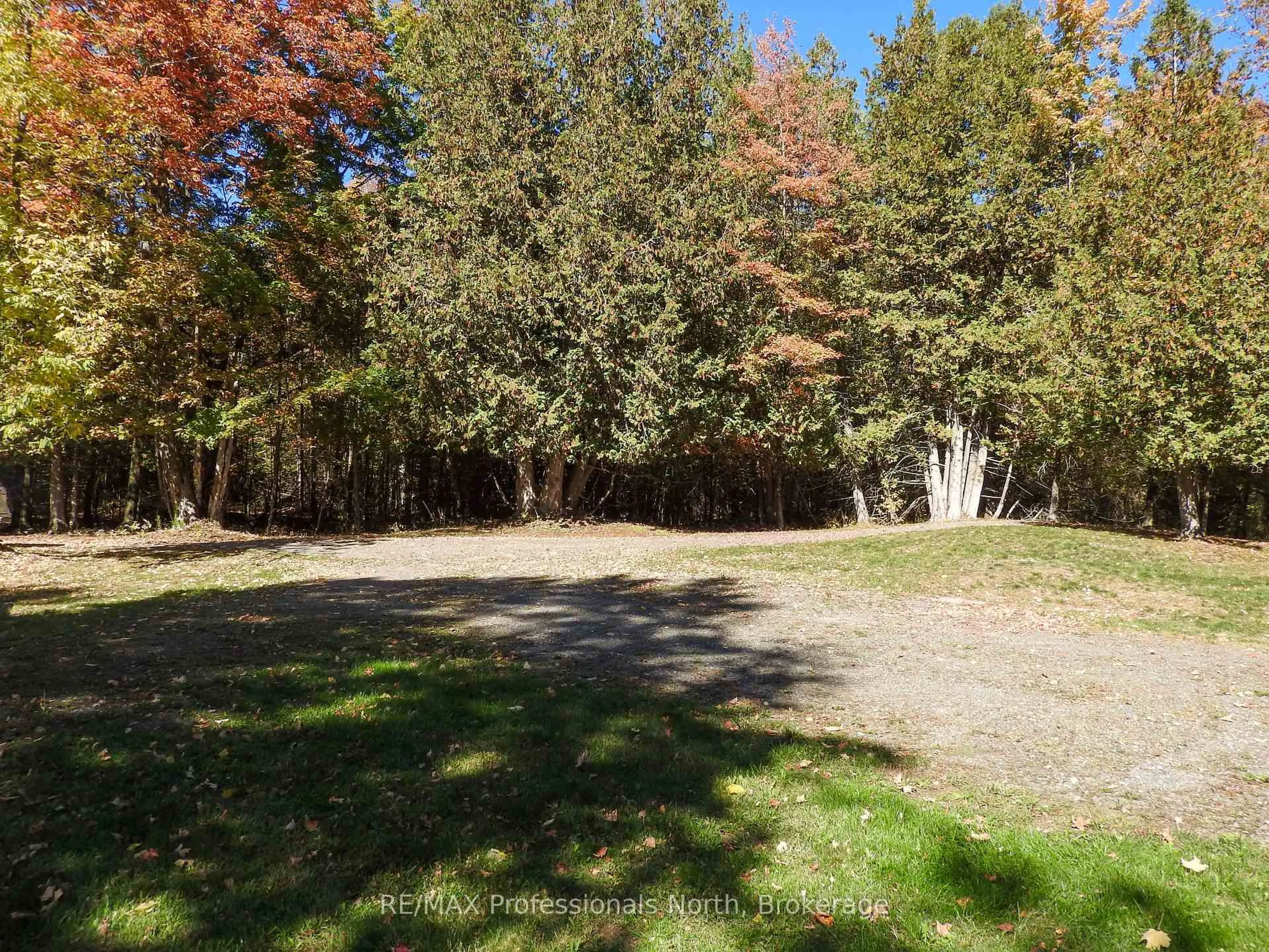 A pic from outside/outdoor area/front of a property/back of a property/a pic from drone, forest/trees view for 1386 Ingram Rd, Coe Hill Ontario K0L 1P0